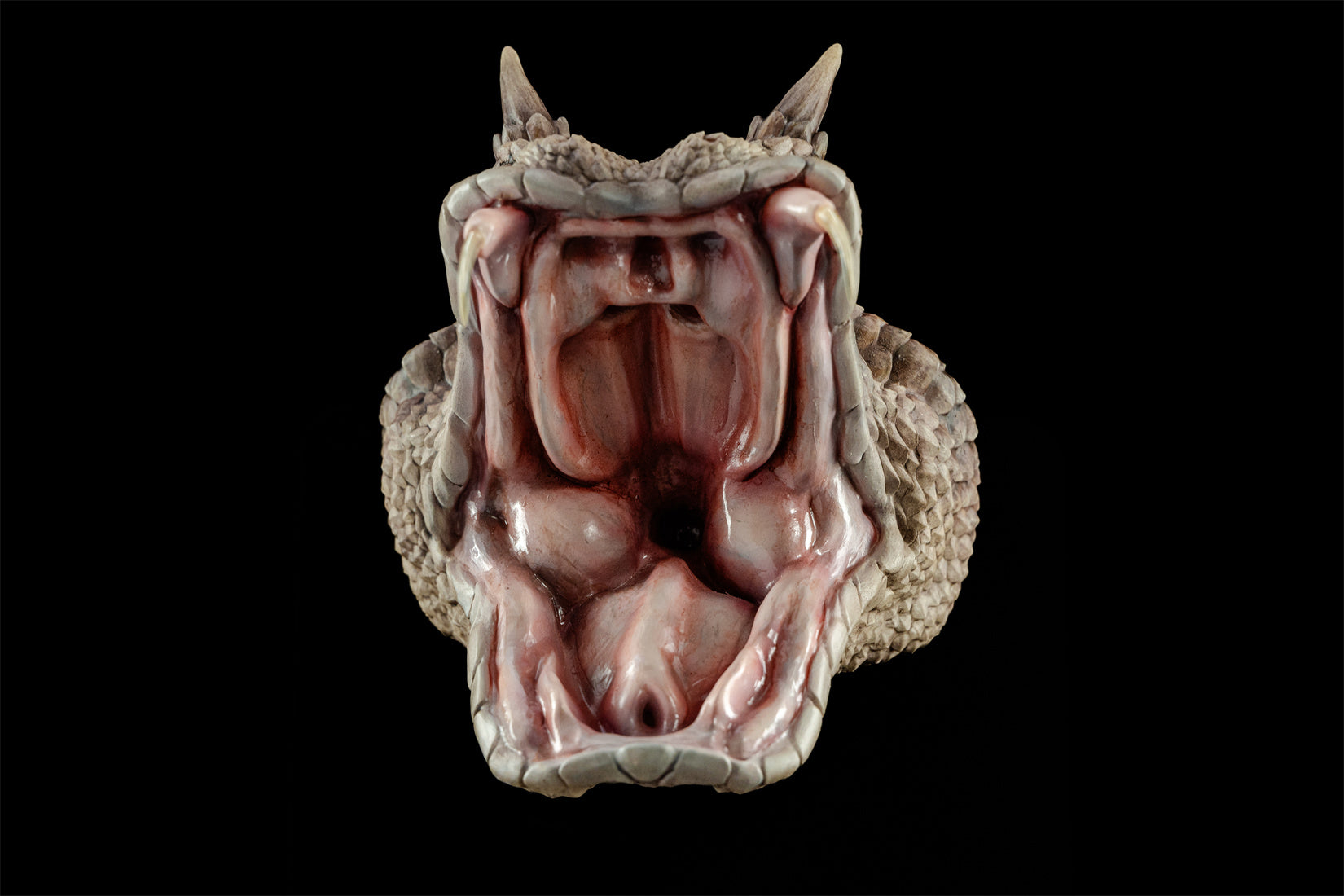 Cerastes Cornutus Snake Model