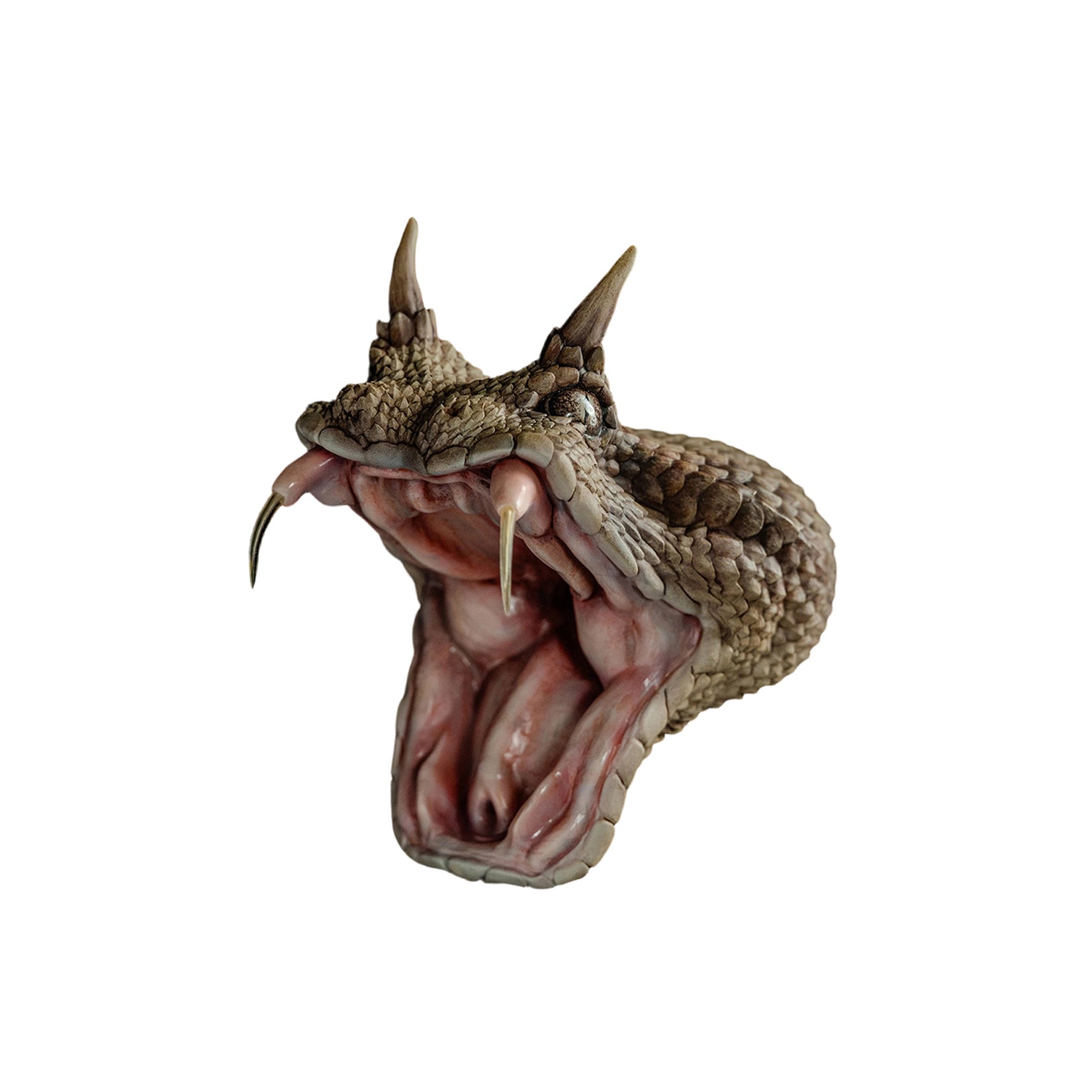 Cerastes Cornutus Snake Model