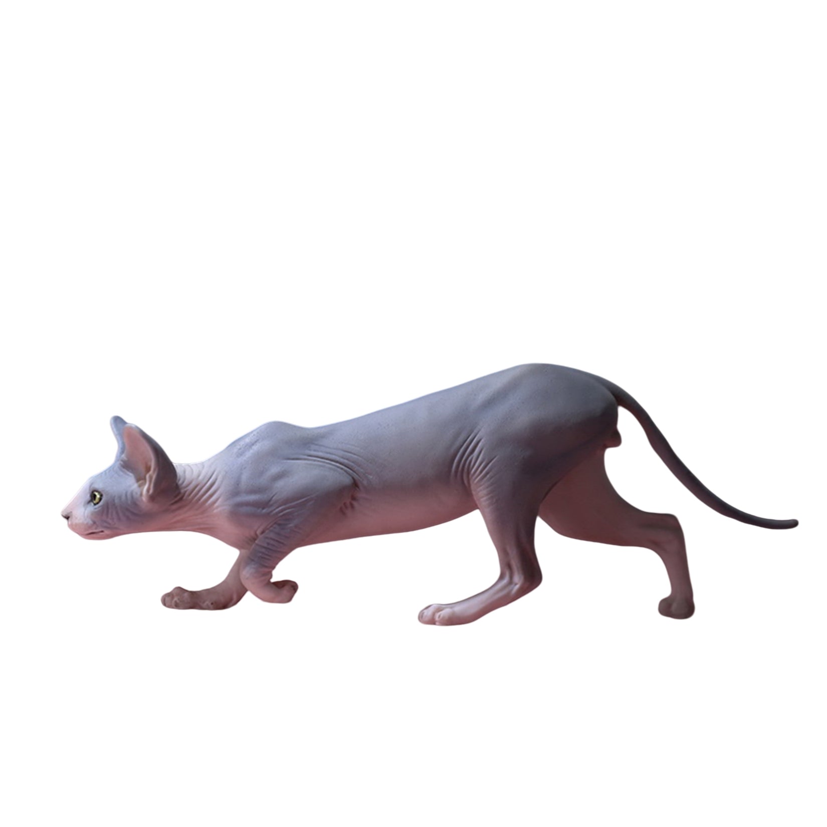 1/6 Canadian Hairless Figure