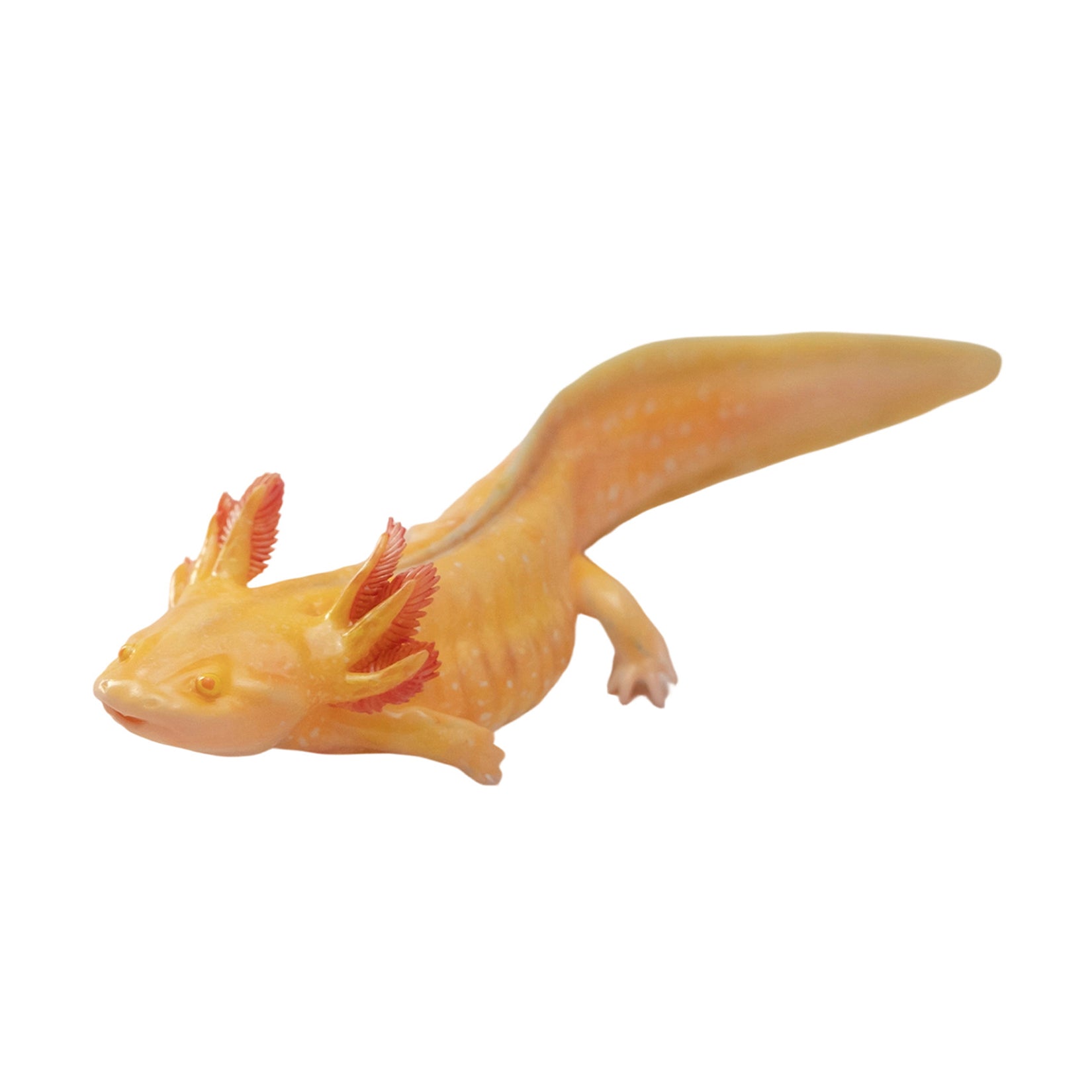 1:2 Scale Ambystoma Mexicanum Model Axolotl Figure