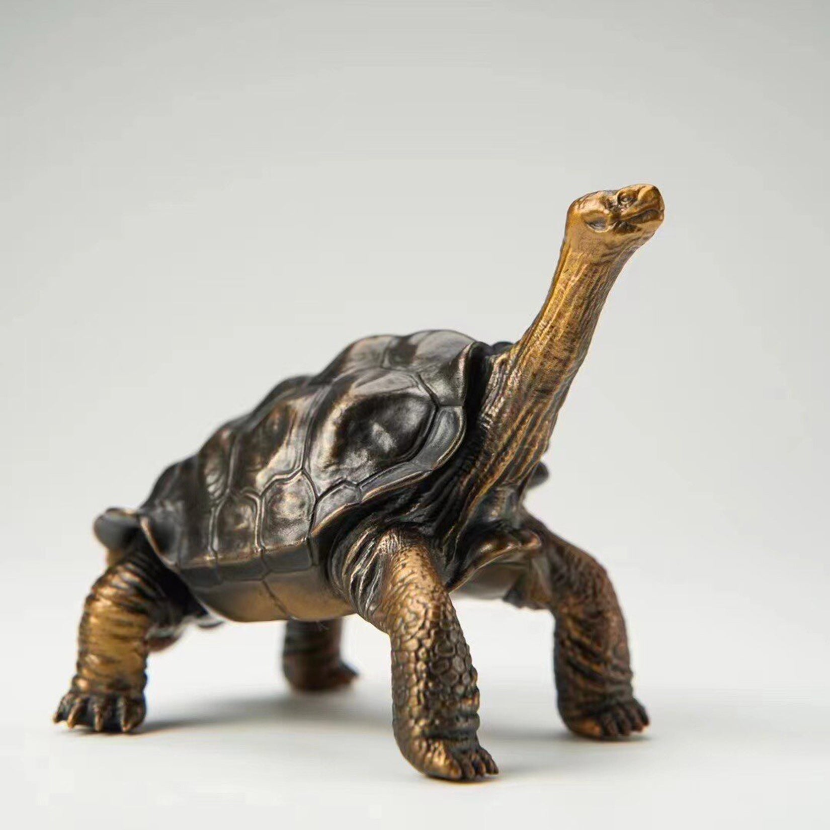 BOWUZHI Studio Galapagos Giant Tortoise Figure