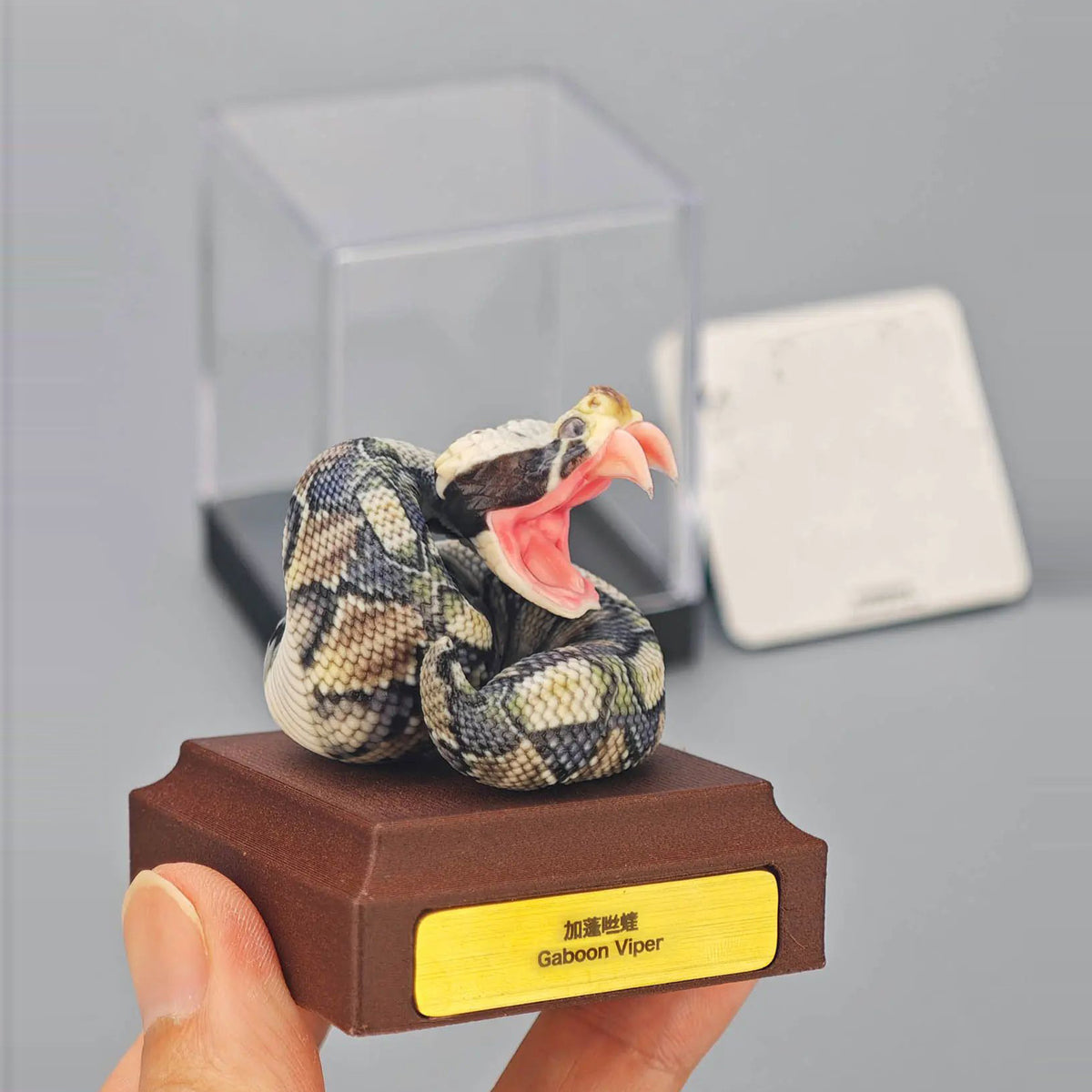 ViVid Studio Rhinoceros Viper & Gaboon Viper Model