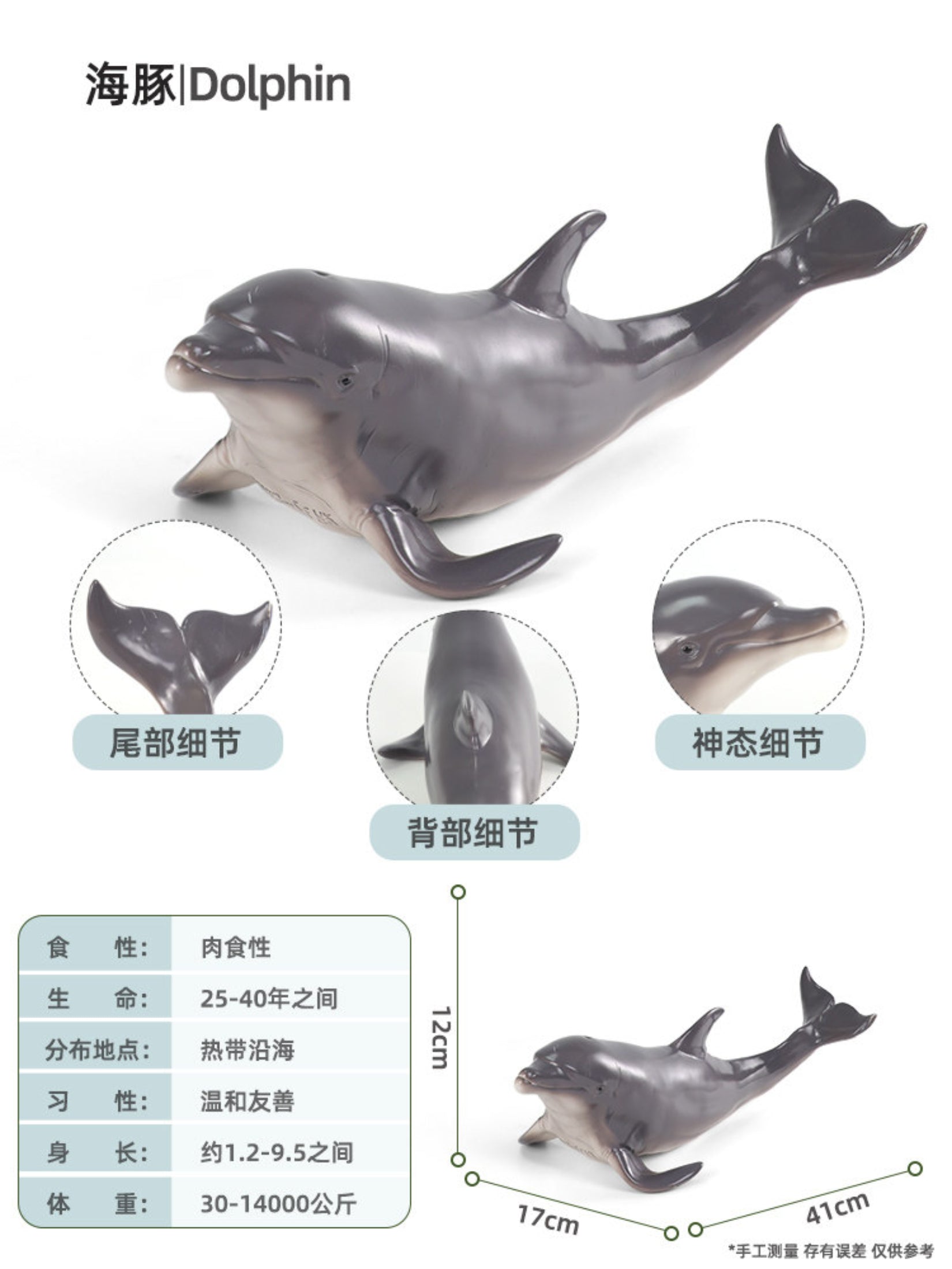 RECUR Dolphin Model Marine Animal