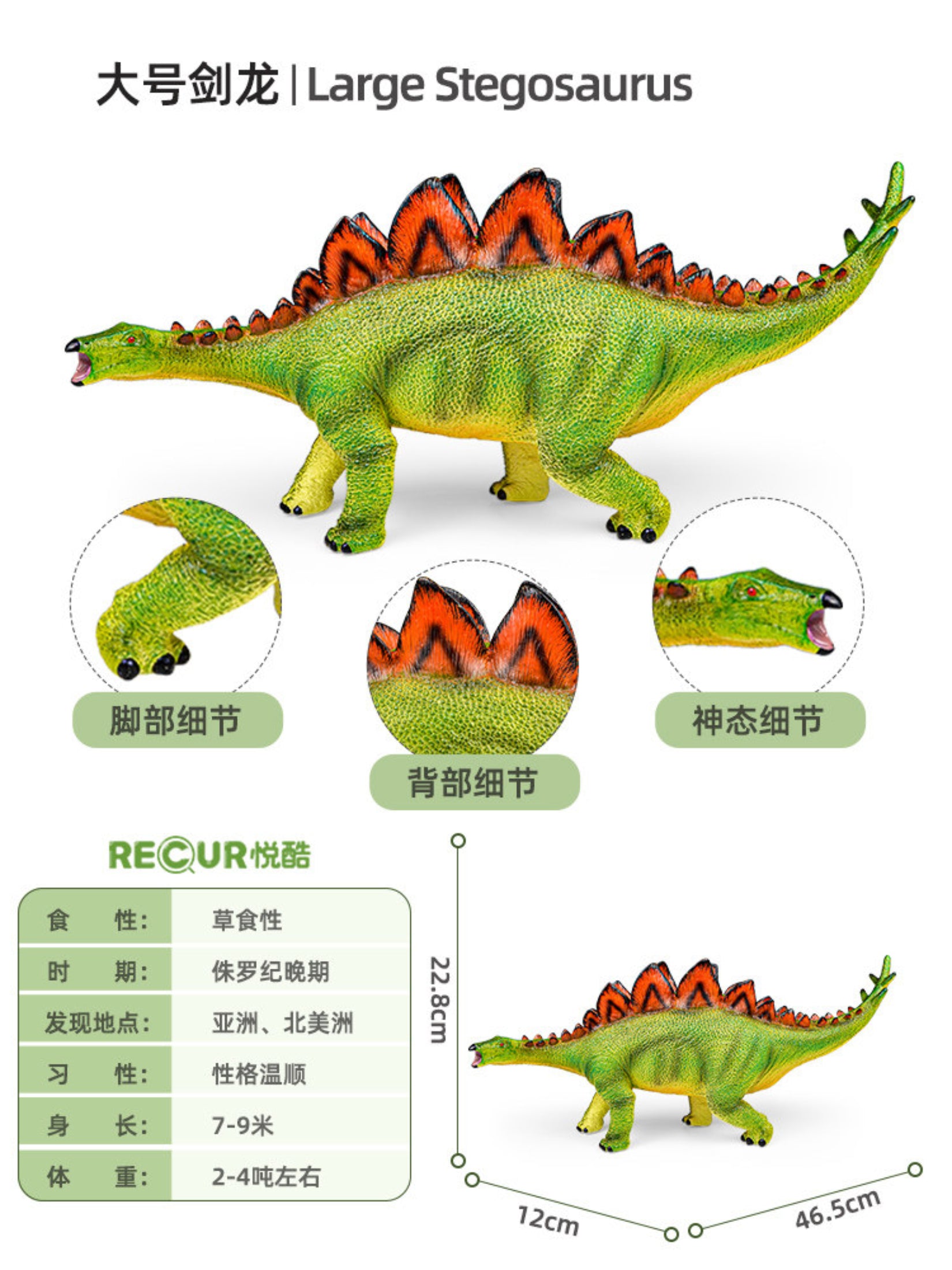 RECUR Stegosaurus Dinosaur Animal Model