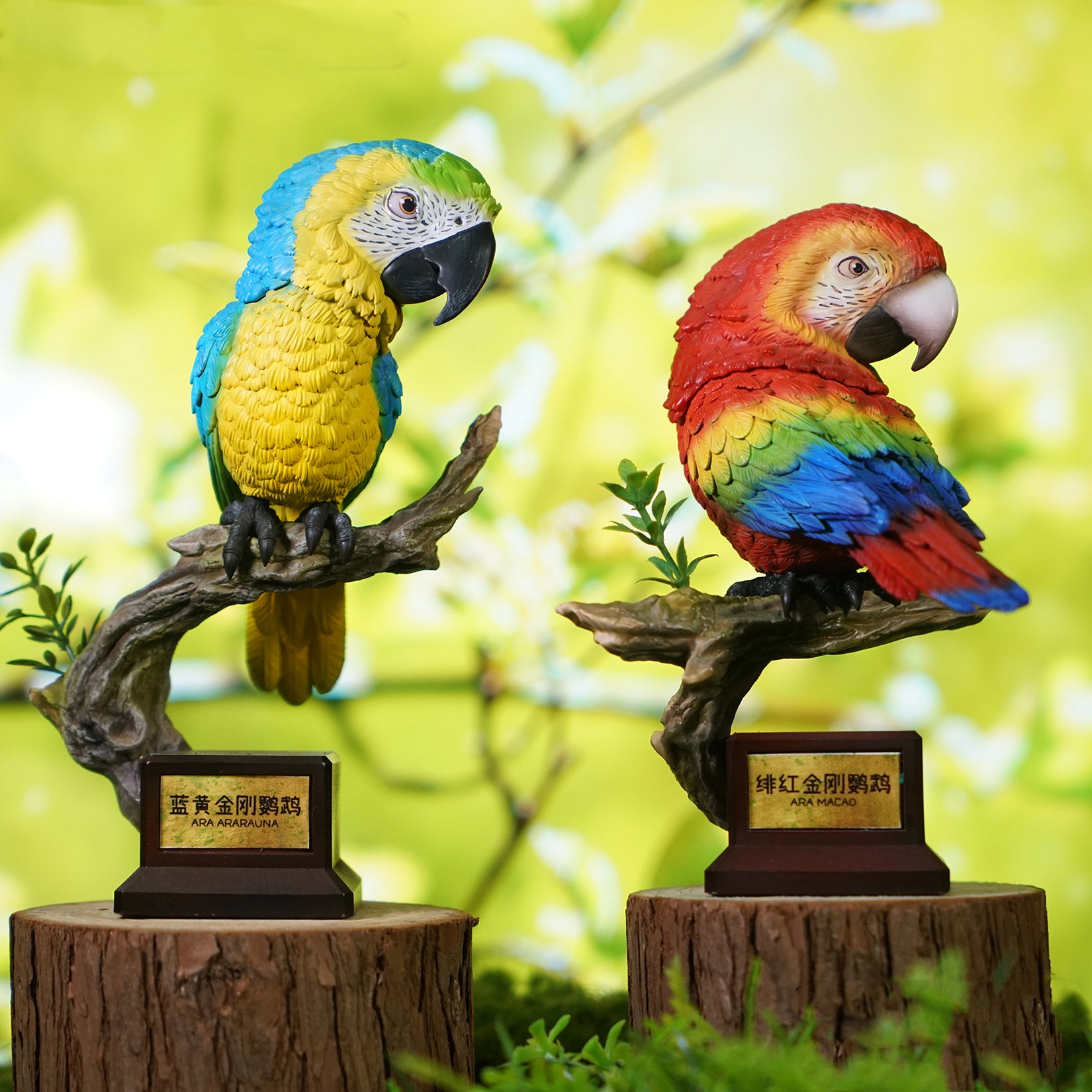 Ara Ararauna & Ara Macao Parrot Model