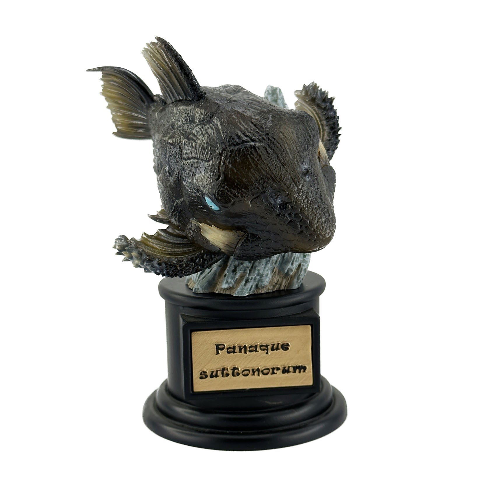 BOWUZHI Studio Fish Model