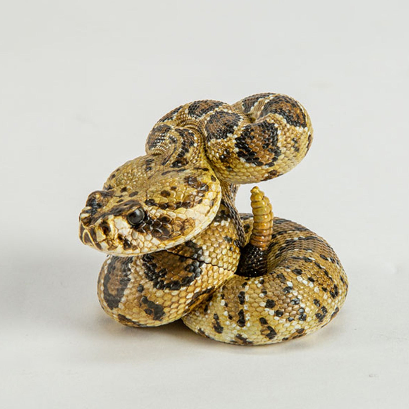 Animal Heavenly Body Snake 4.0 Animal Figurine Model