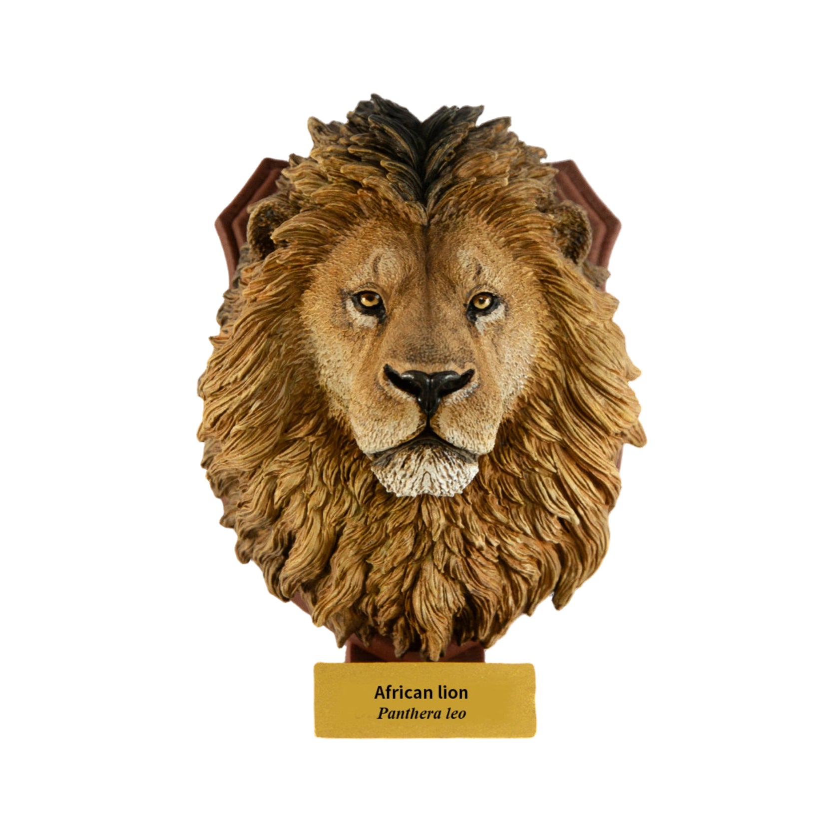 Animal Planet World Encyclopedia Of Animals Volume 2
