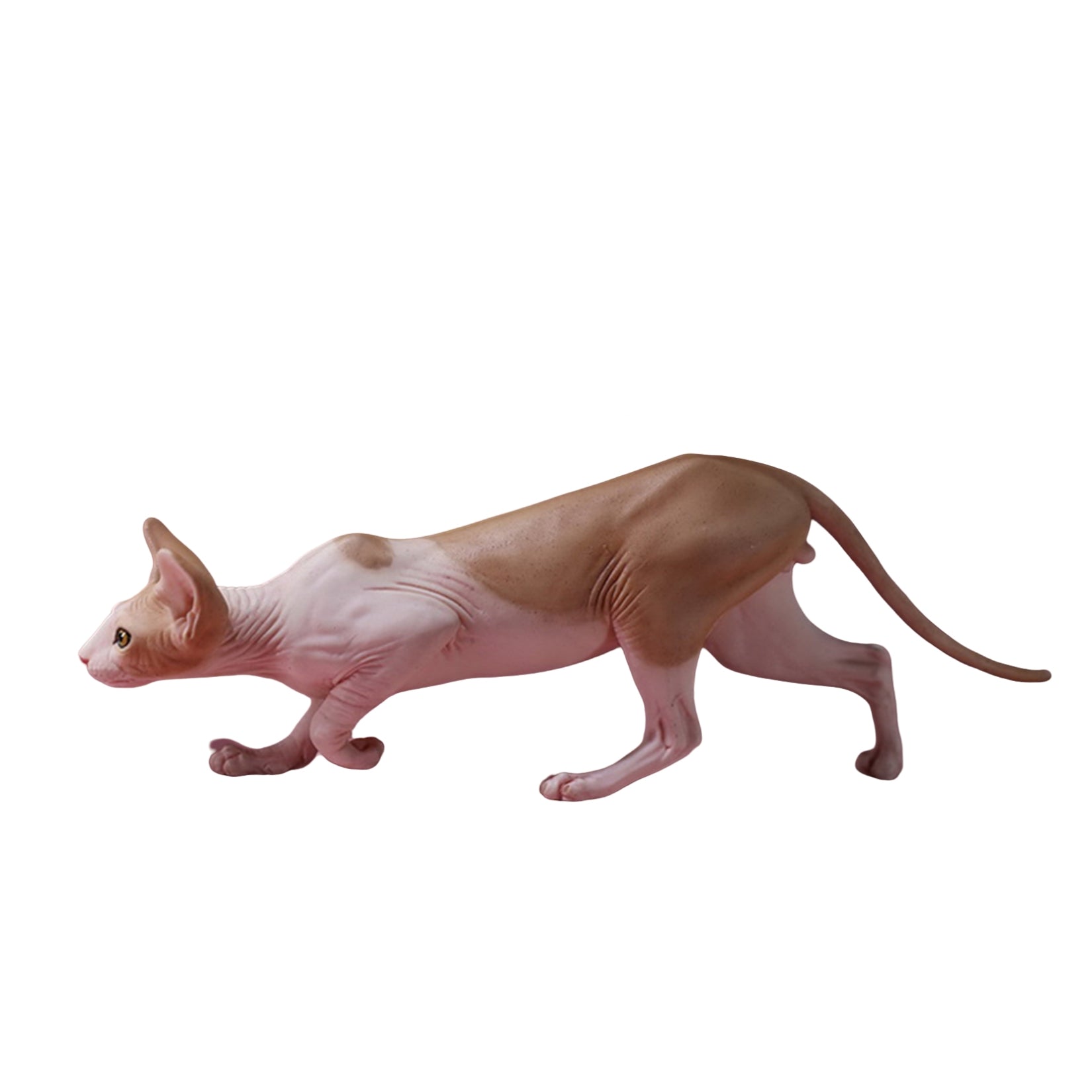 1/6 Canadian Hairless Figure