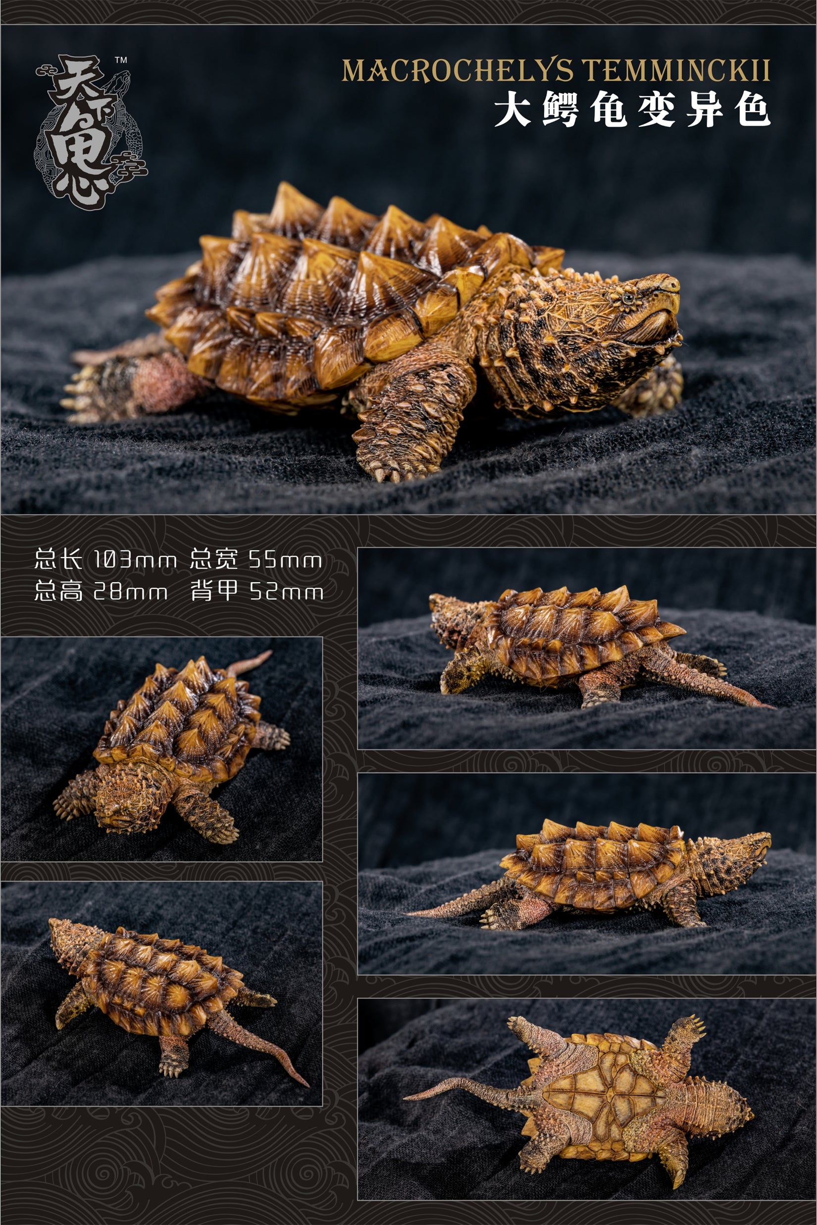 Turtle Model Series