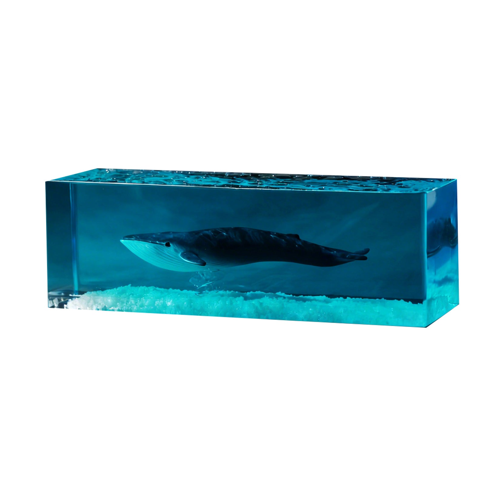 Blue Whale Megalodon Dolphin Resin Figurine