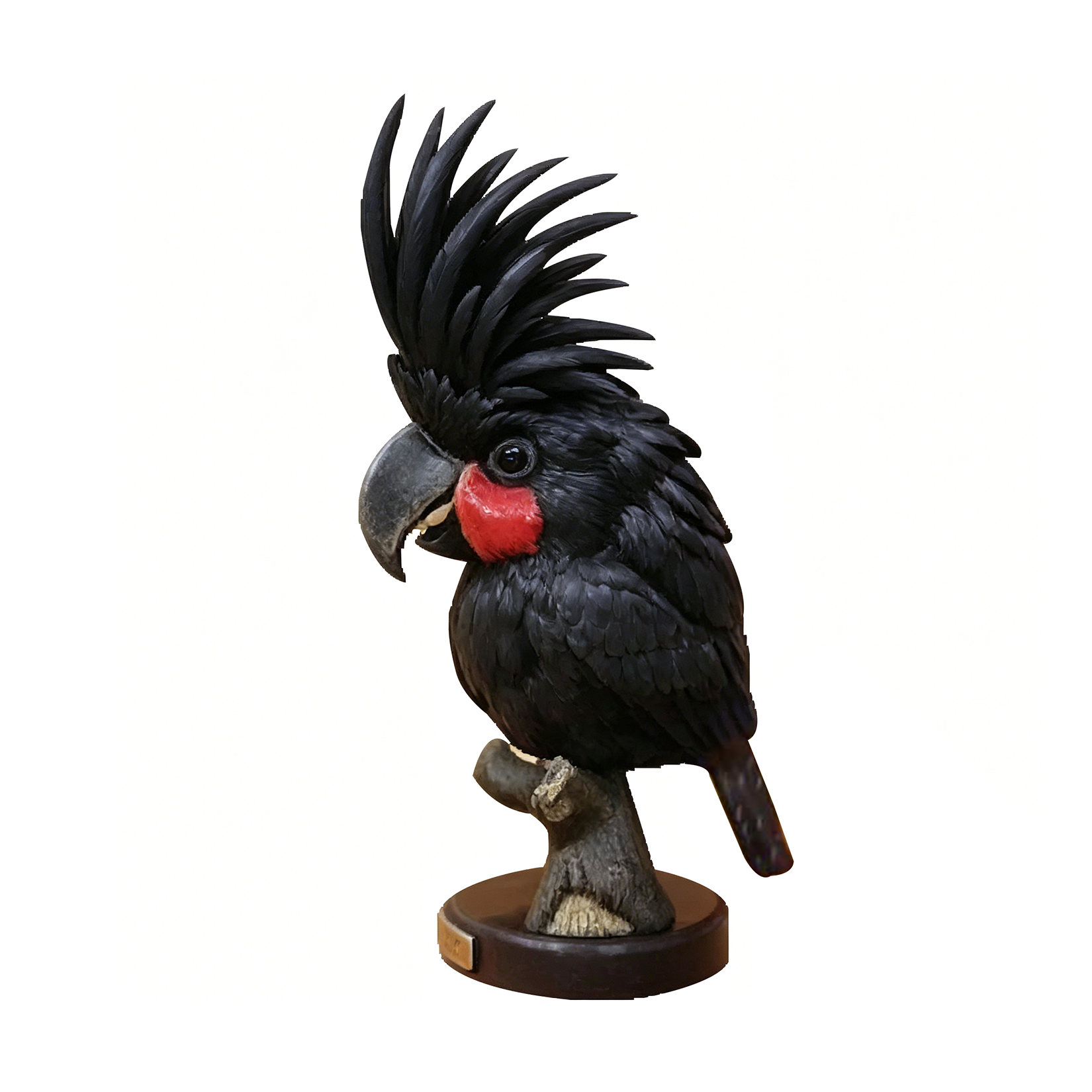 BOWUZHI Studio Parrot 1.0 Blind Box Model