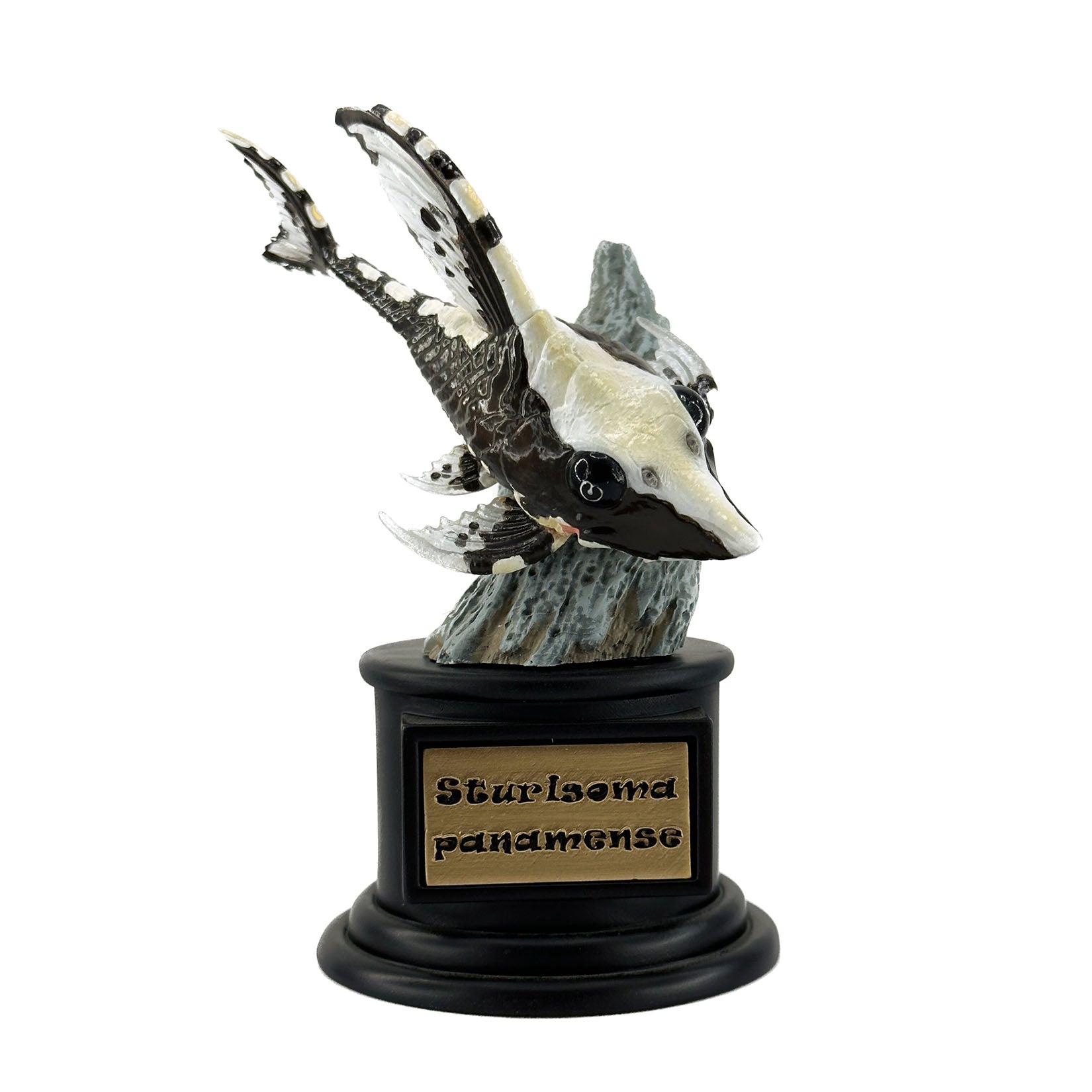 BOWUZHI Studio Fish Model
