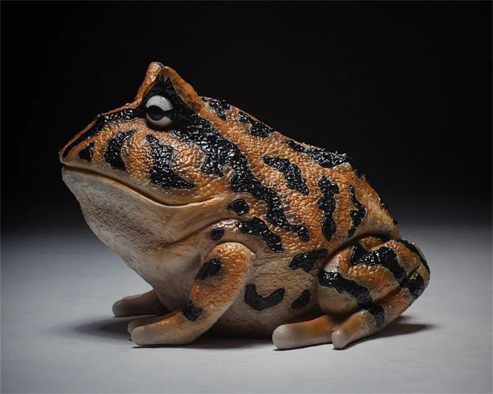 Schildkröten-Serie Tiermodell