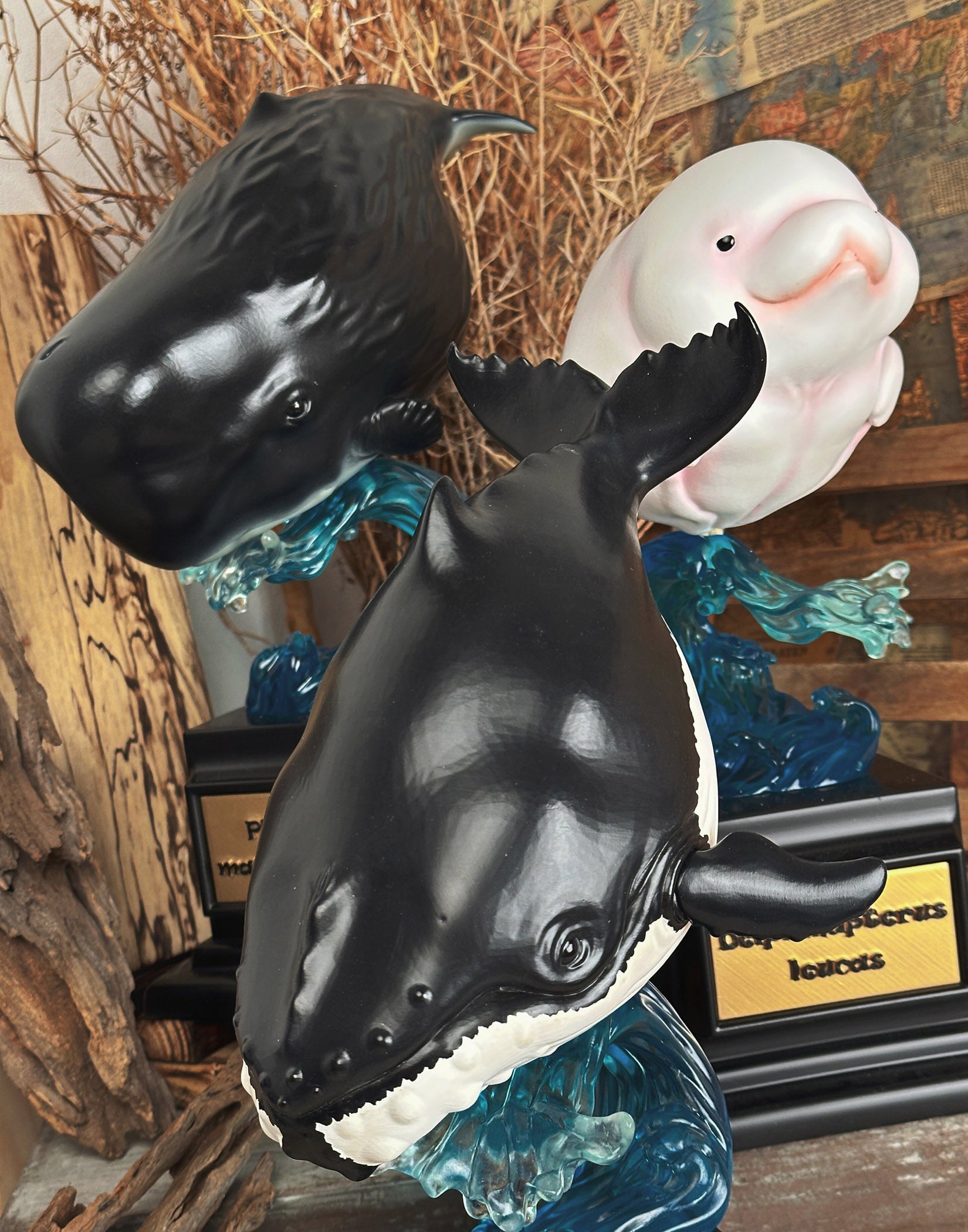 BOWUZHI Studio PLUS Whale Model