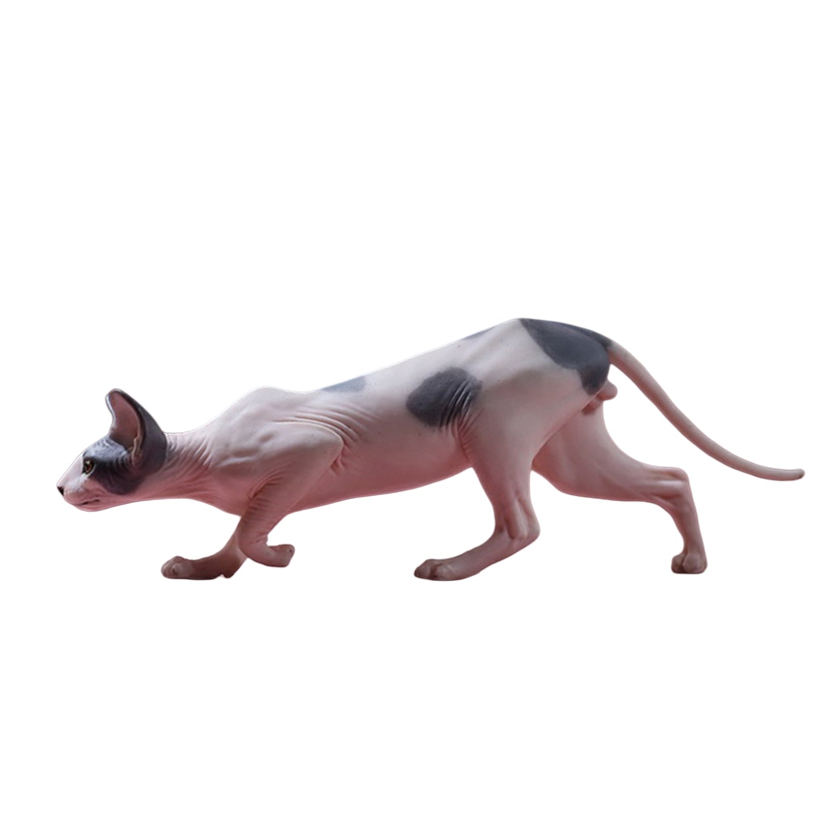1/6 Canadian Hairless Figure