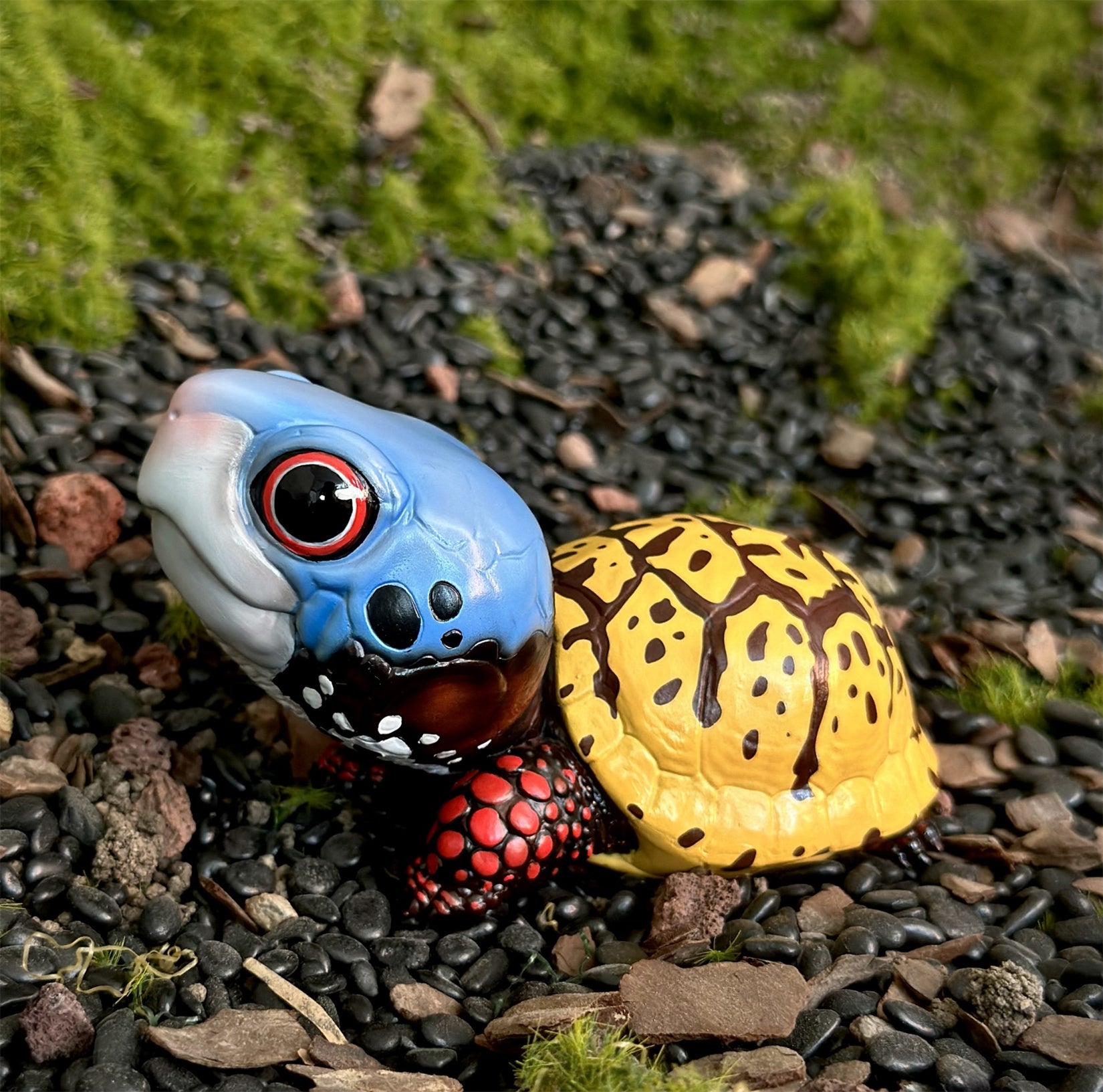 BOWUZHI STUDIO Terrapene Box Turtle Model