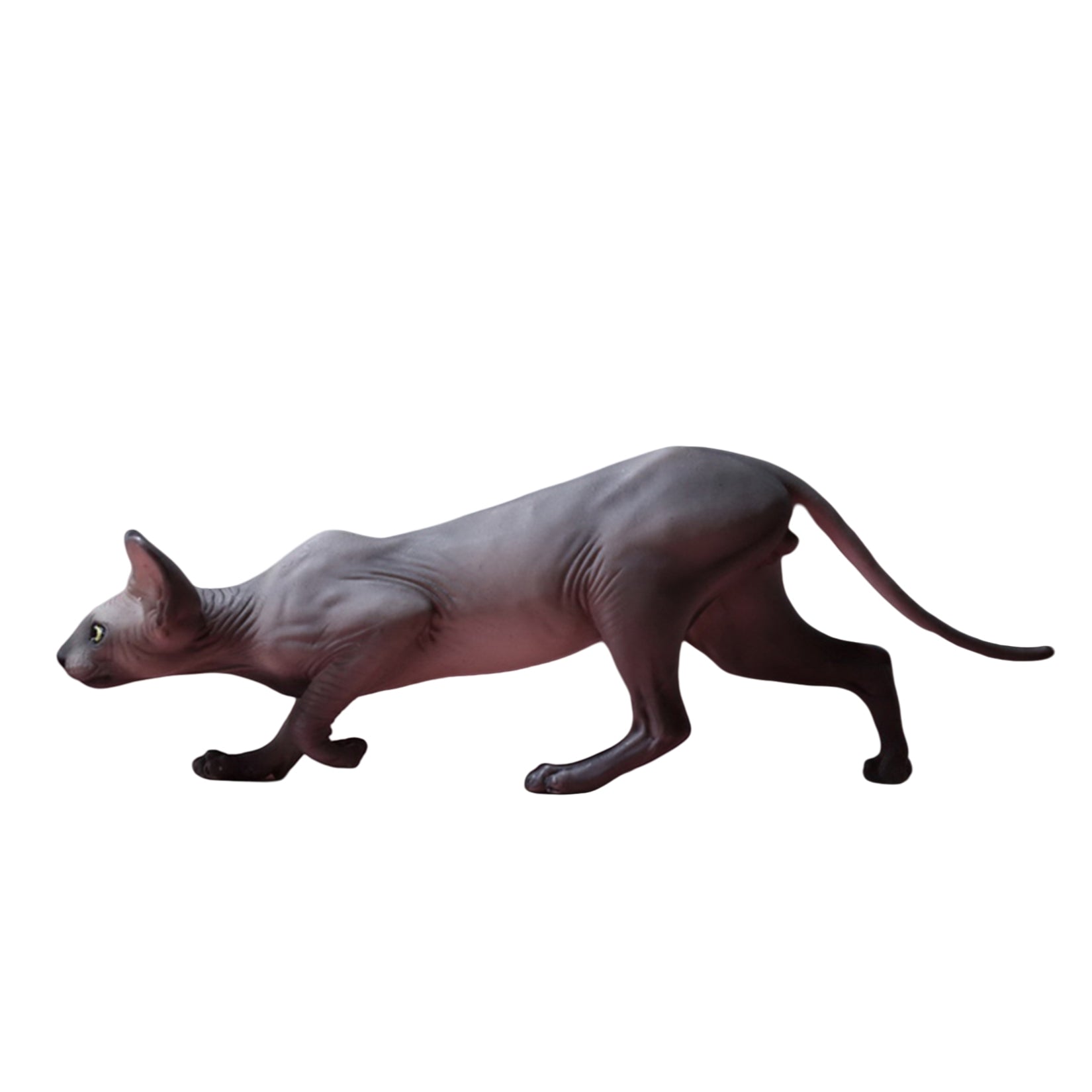 1/6 Canadian Hairless Figure