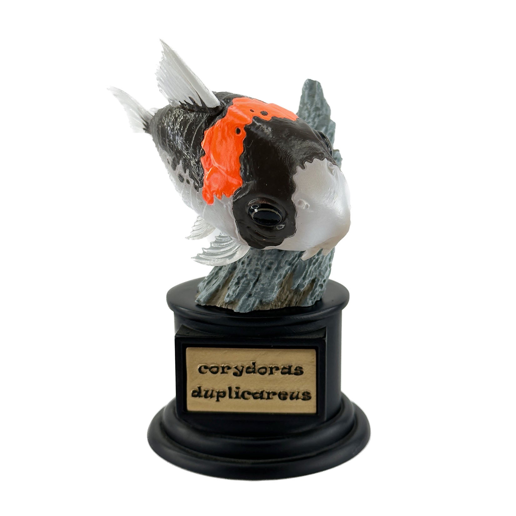 BOWUZHI Studio Fish Model