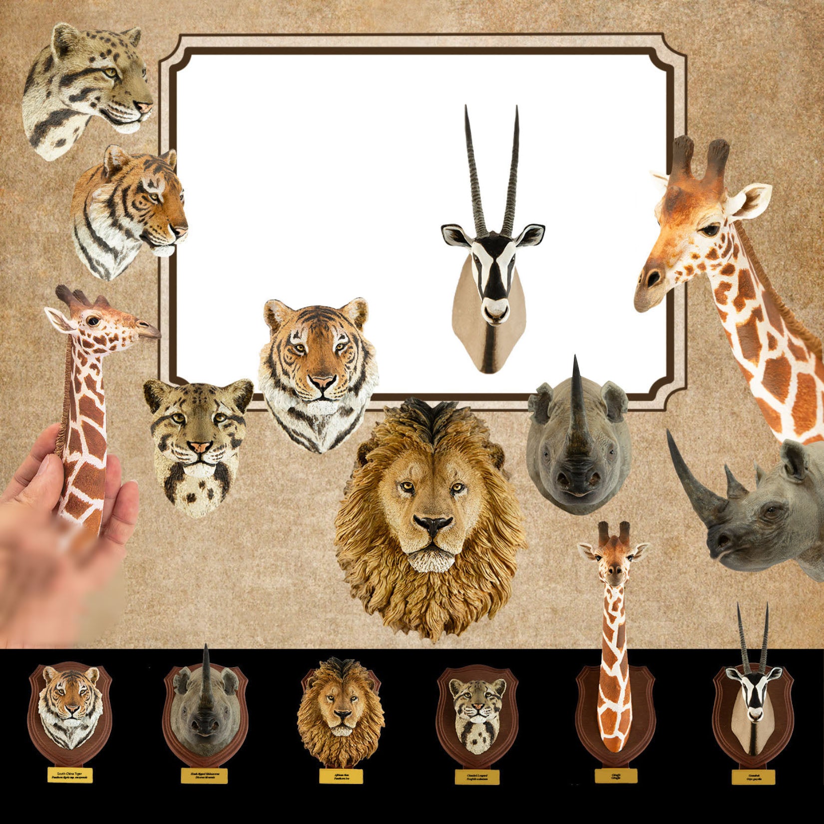 Animal Planet World Encyclopedia Of Animals Volume 2