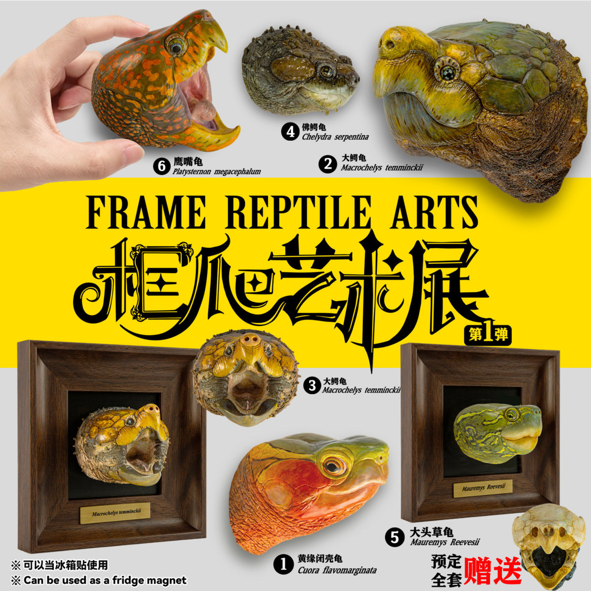 Animal Heavenly Body Frame Reptile Arts Series Volume 1 Model
