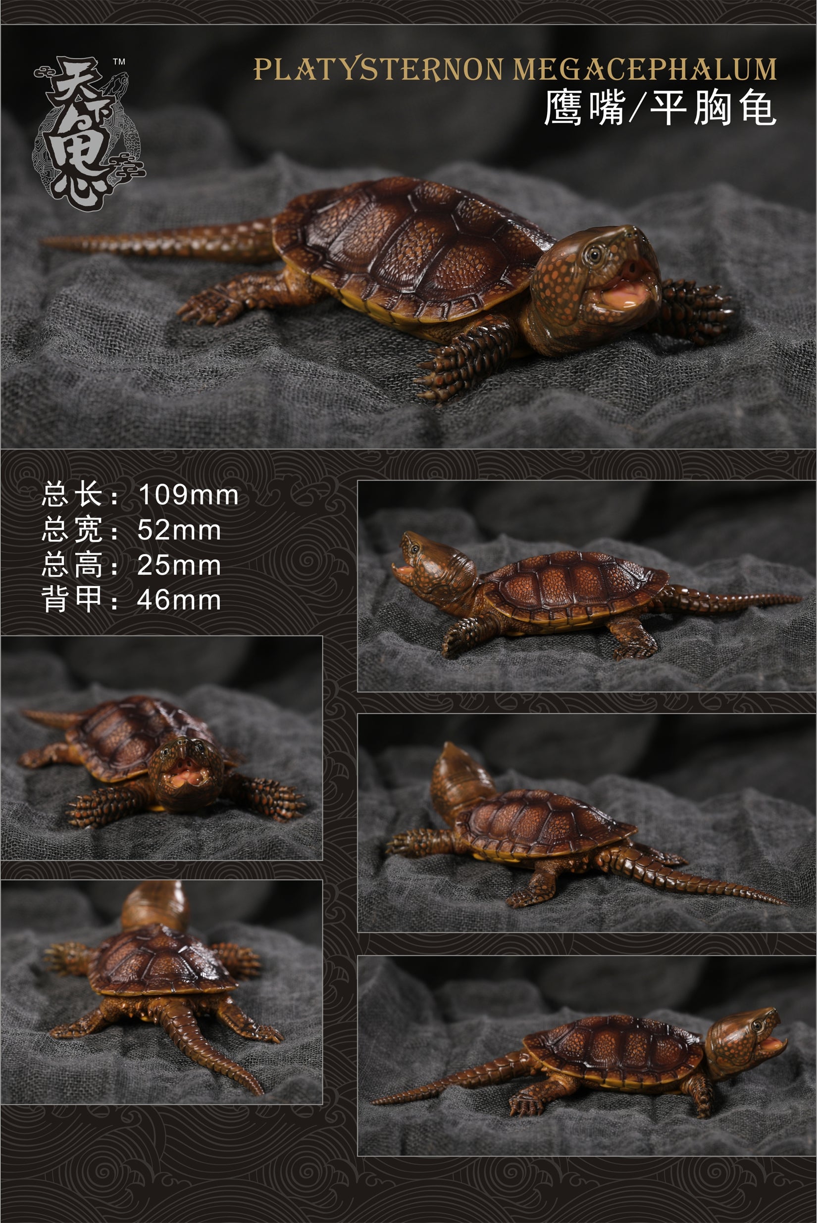 Turtle Model Series