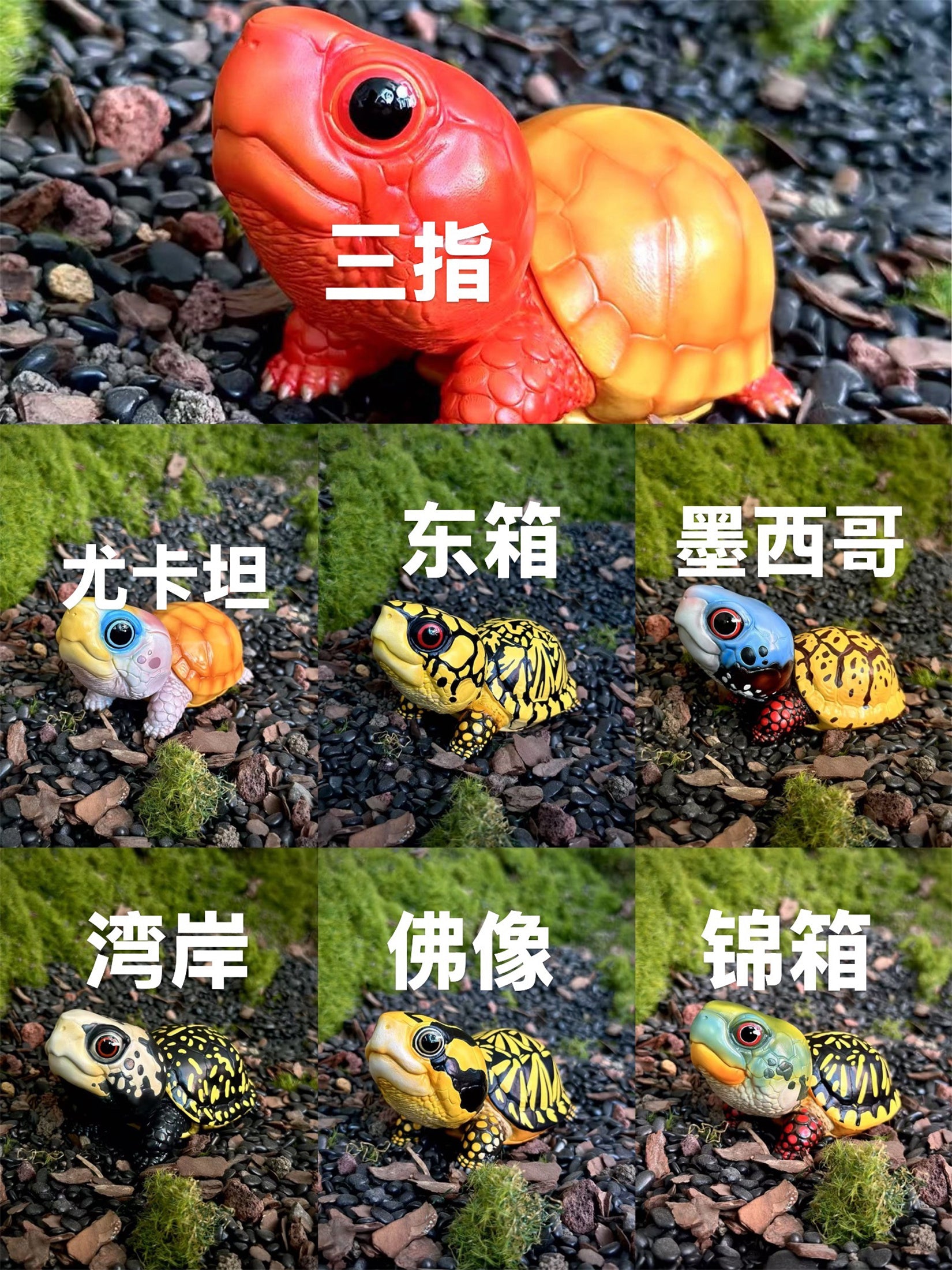 BOWUZHI STUDIO Terrapene Box Turtle Model