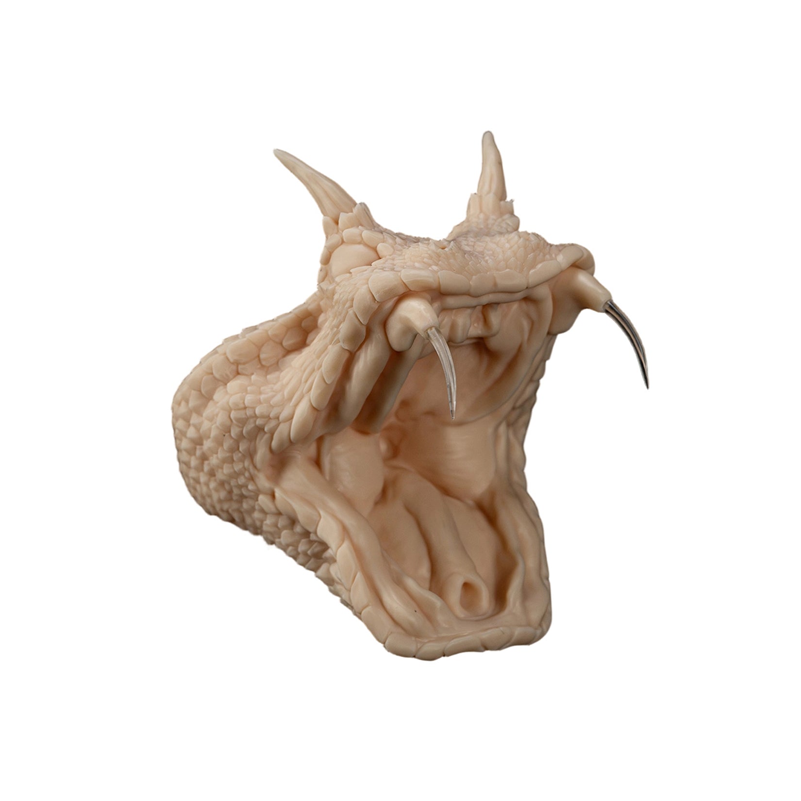 Cerastes Cornutus Snake Model