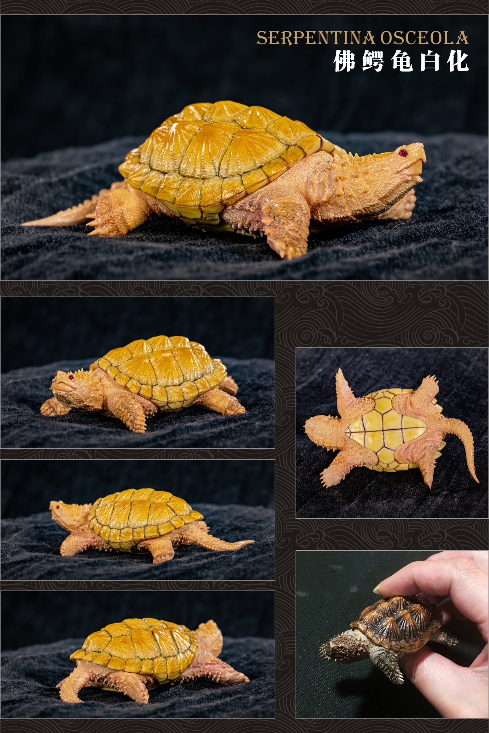Turtle Model Series