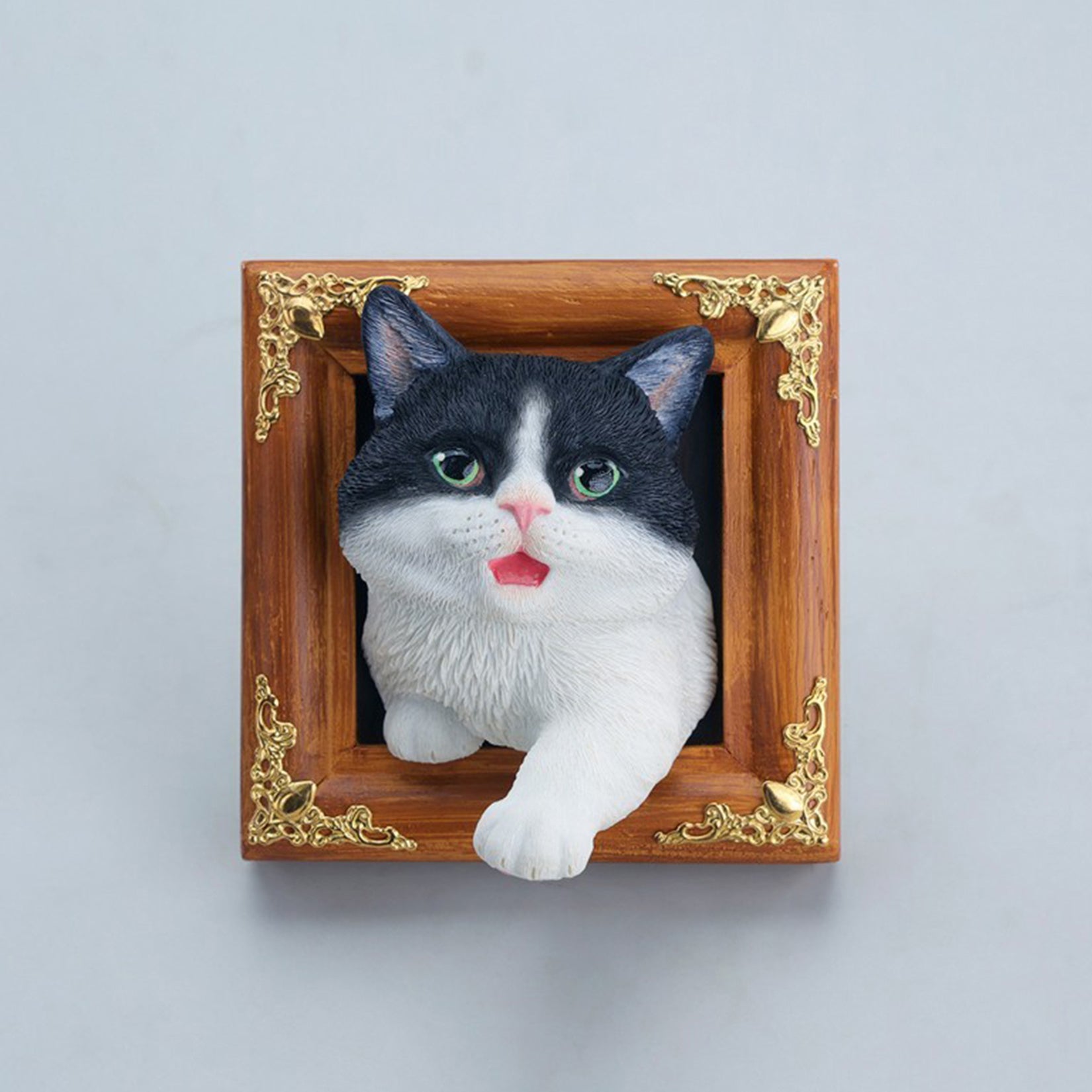 JXK Studio Escaped Domestic Cat Model