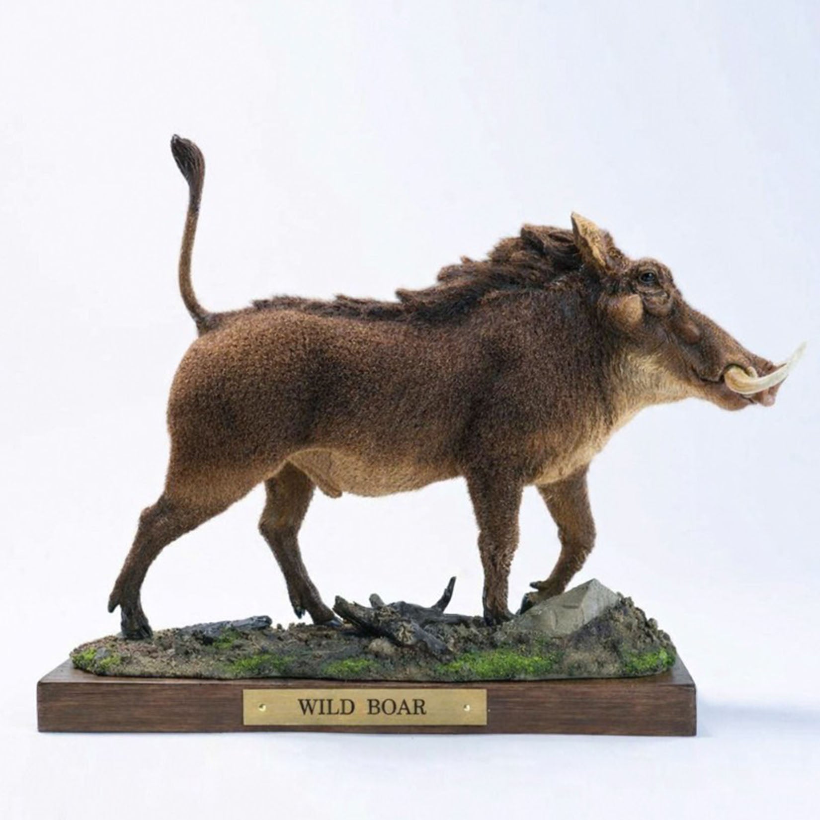 JXK Studio Warthog Animal Model