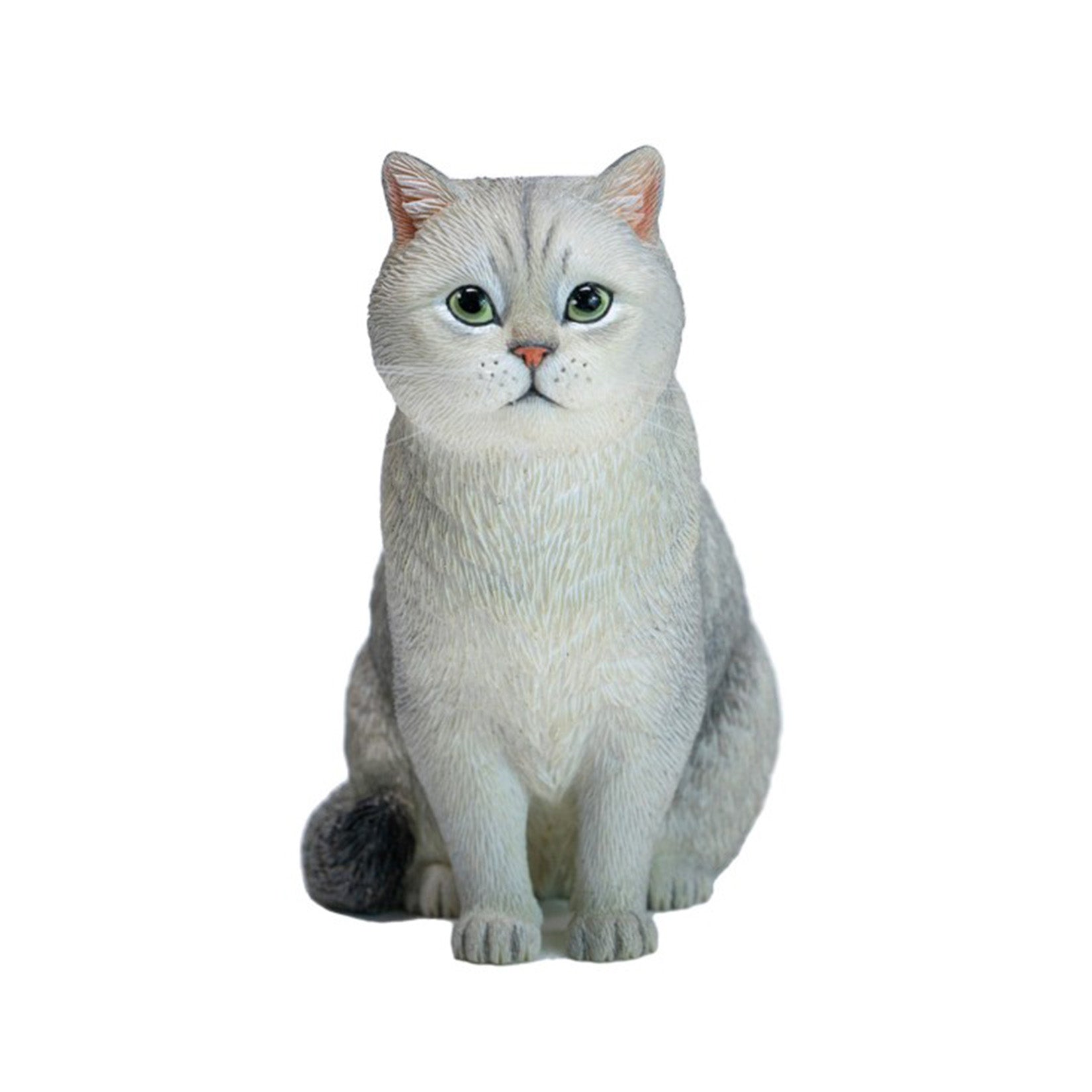 JXK Studio British Shorthair Cat Model