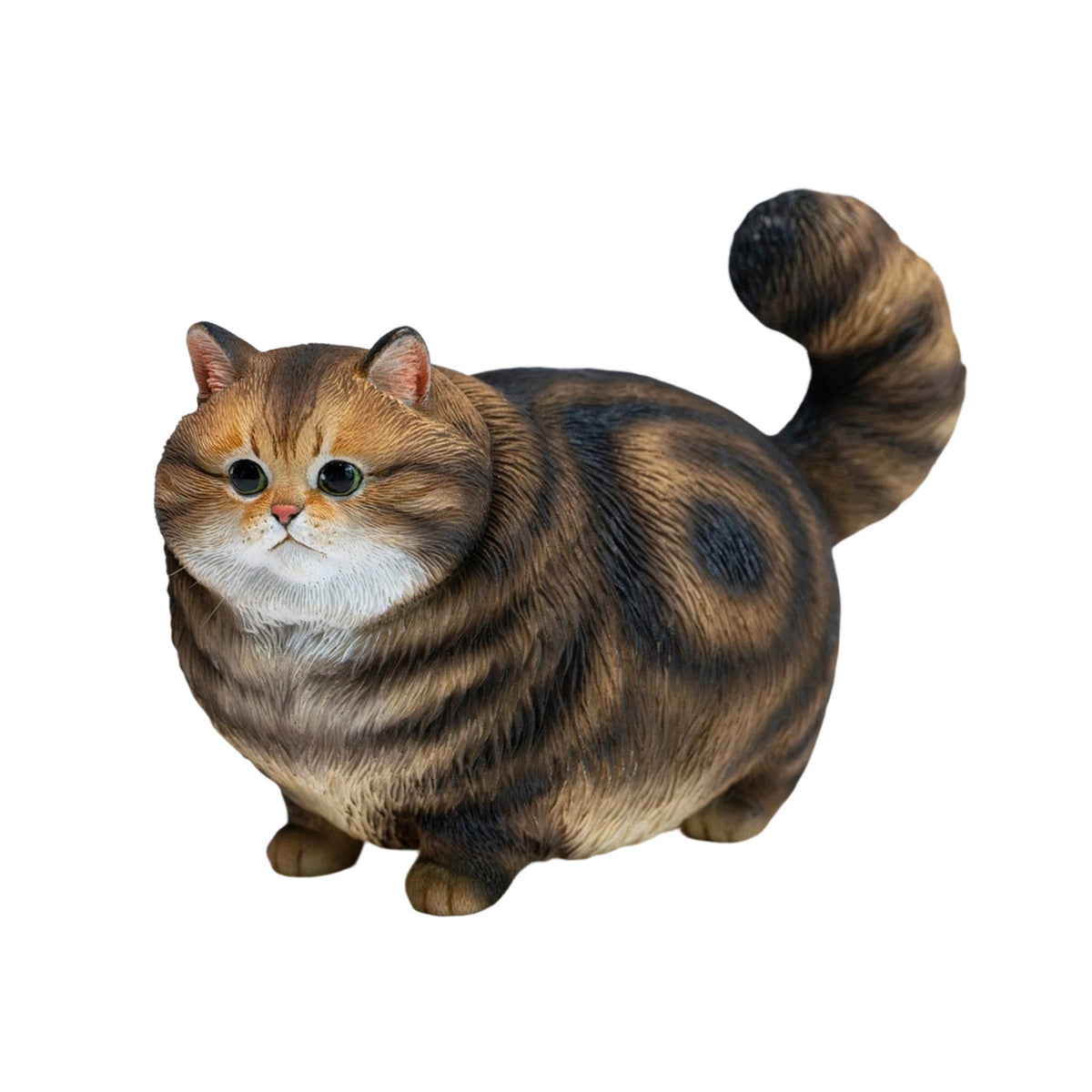 JXK Chubby Kitty Cat Model
