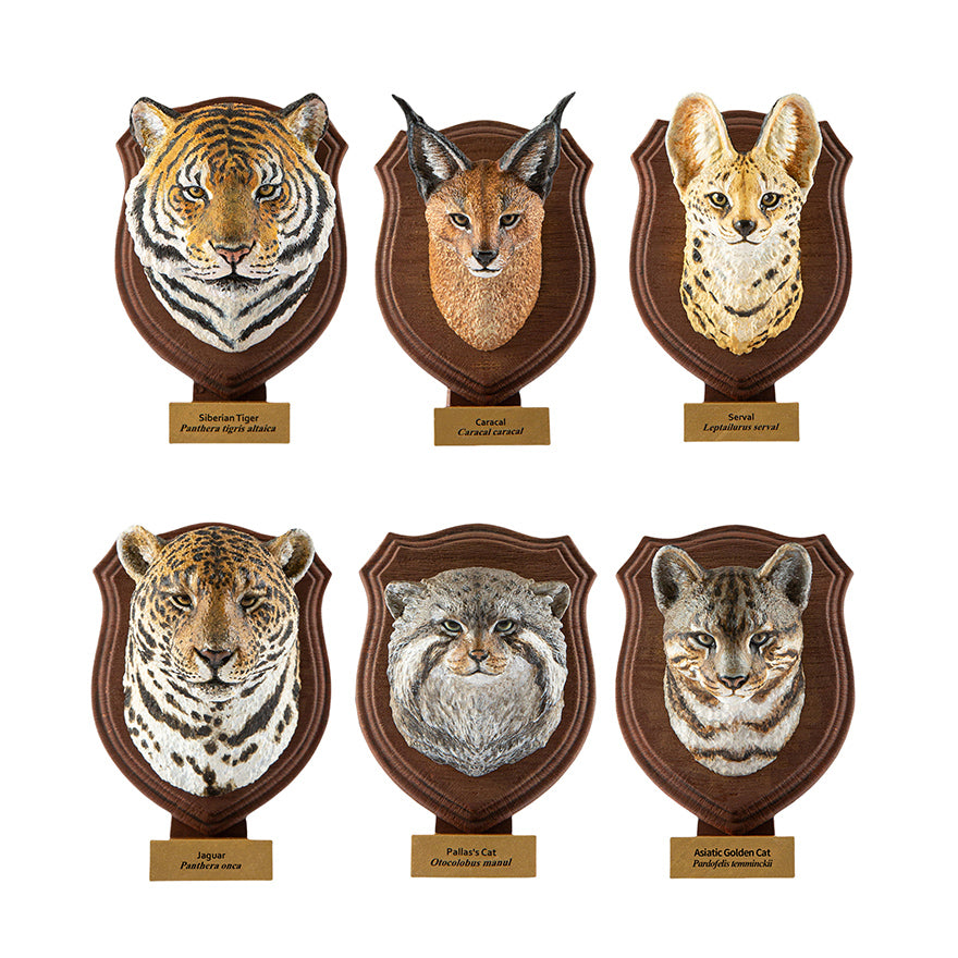 Animal Planet World Encyclopedia Of Animals