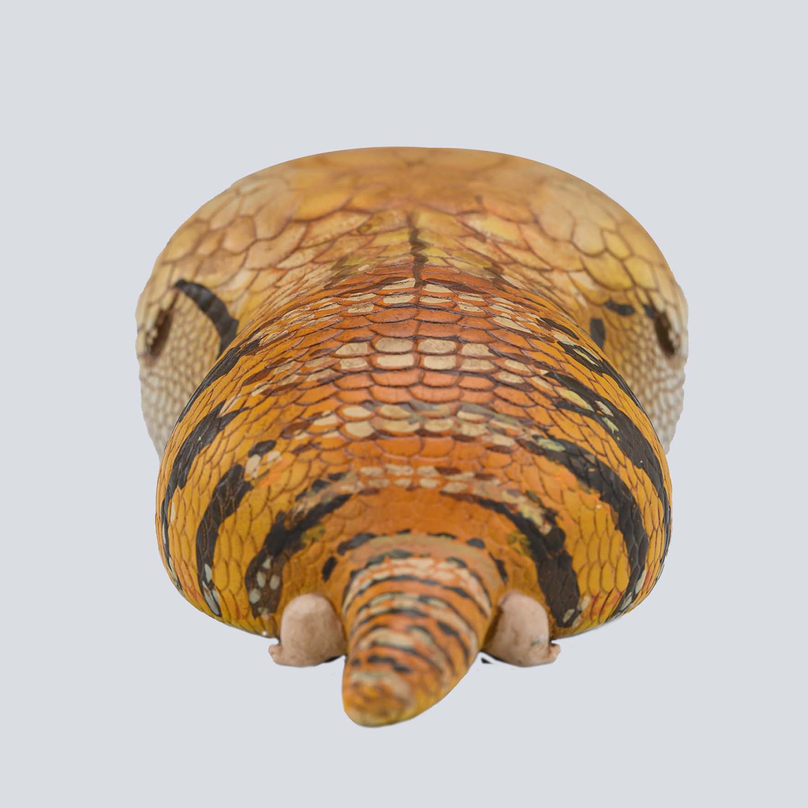 Animal Planet 16 Lizard Blind Box Model