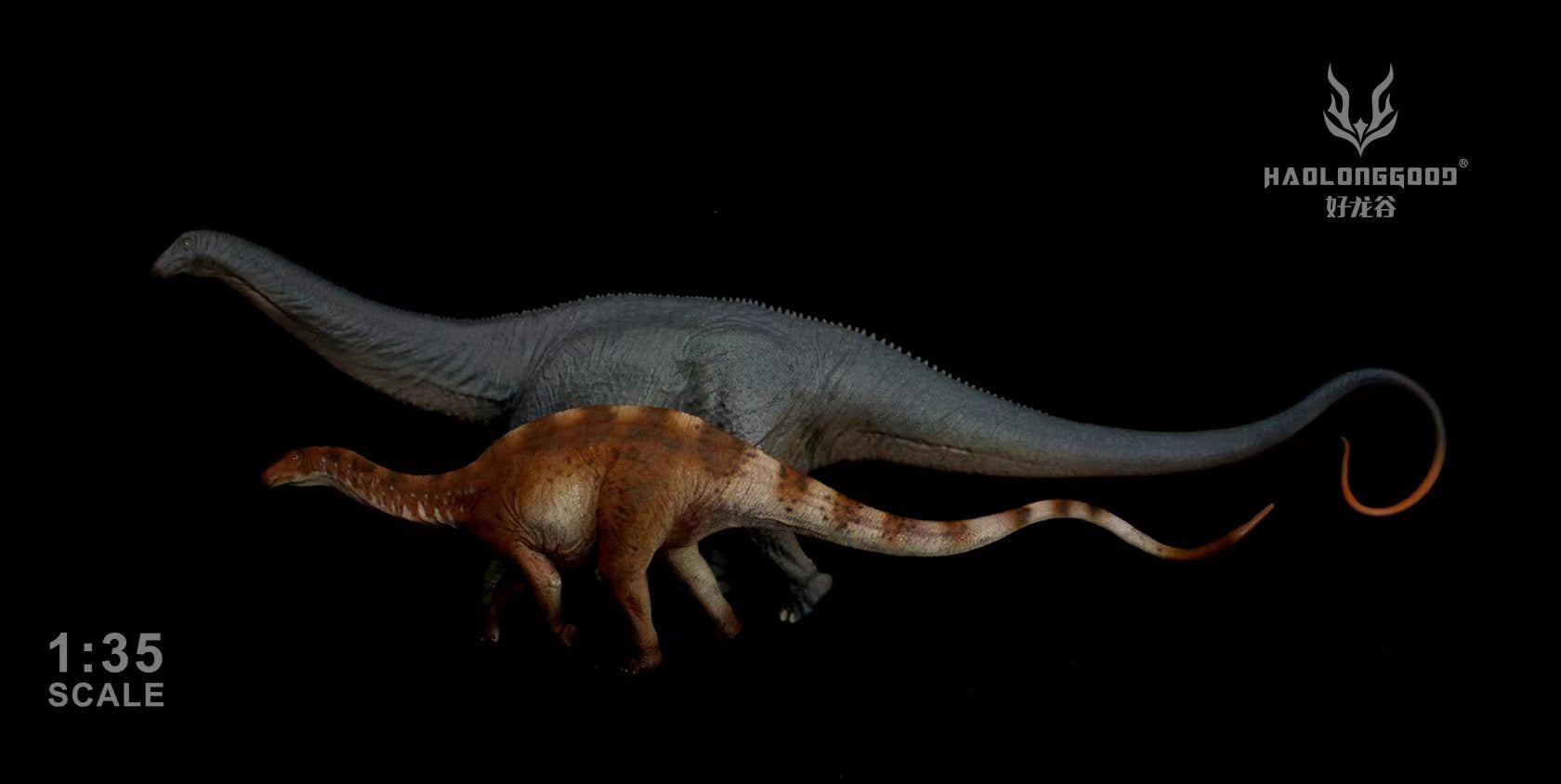 HAOLONGGOOD 1:35 Scale Apatosaurus Model
