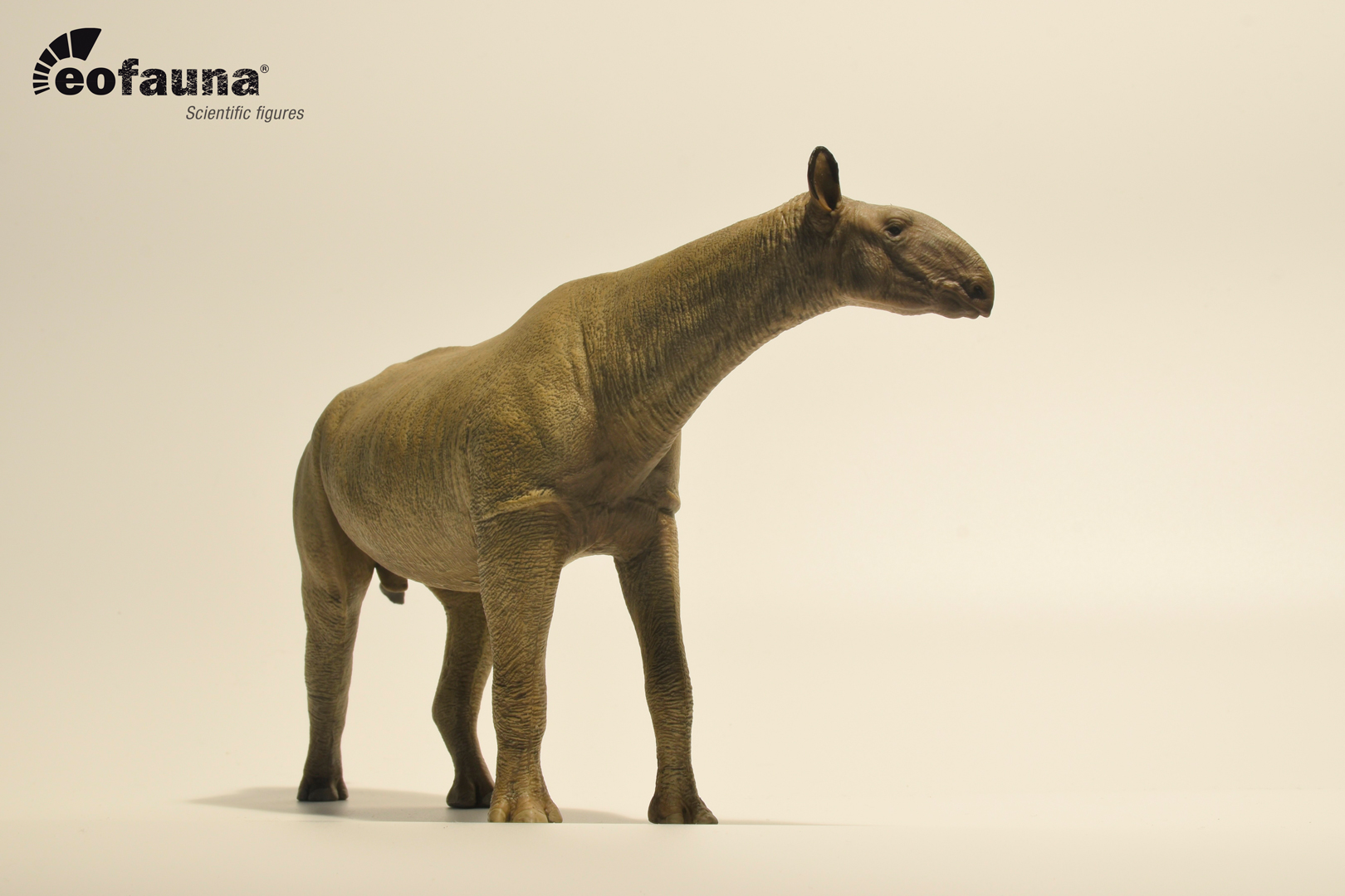 Eofauna 1:35 Scale Paraceratherium grangeri Figure