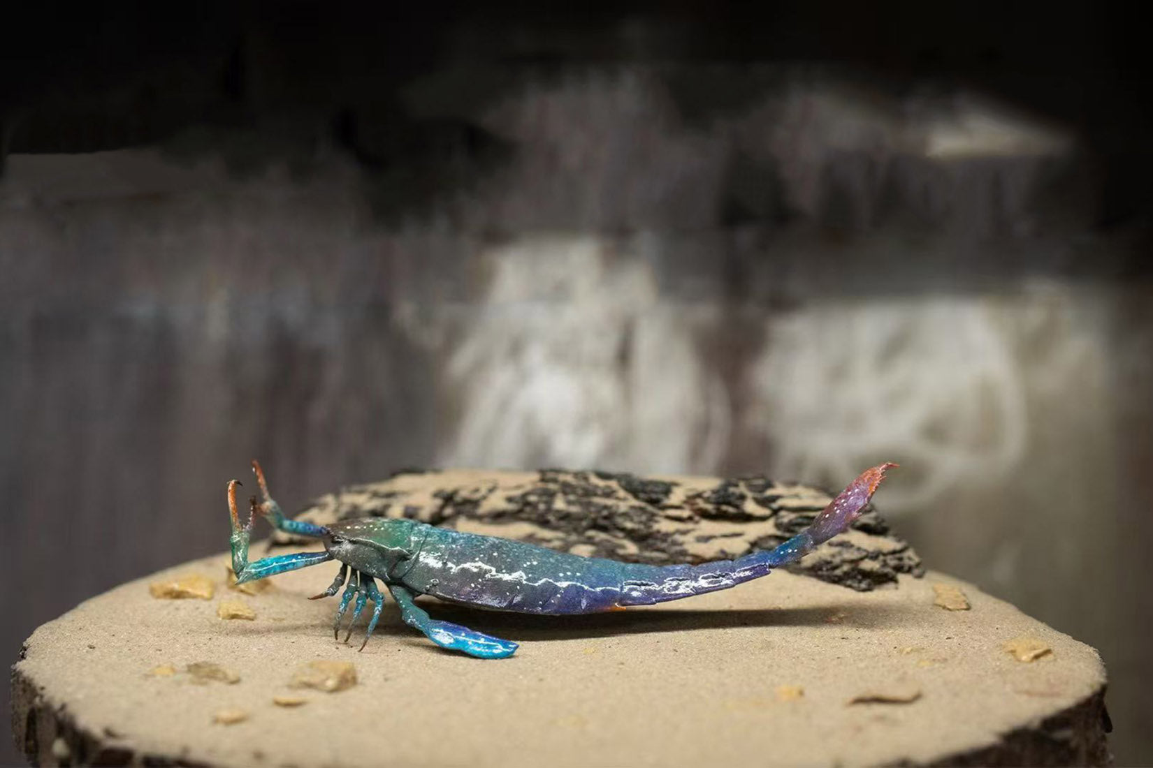 Alex Studio Jaekelopterus Rhenaniae Model