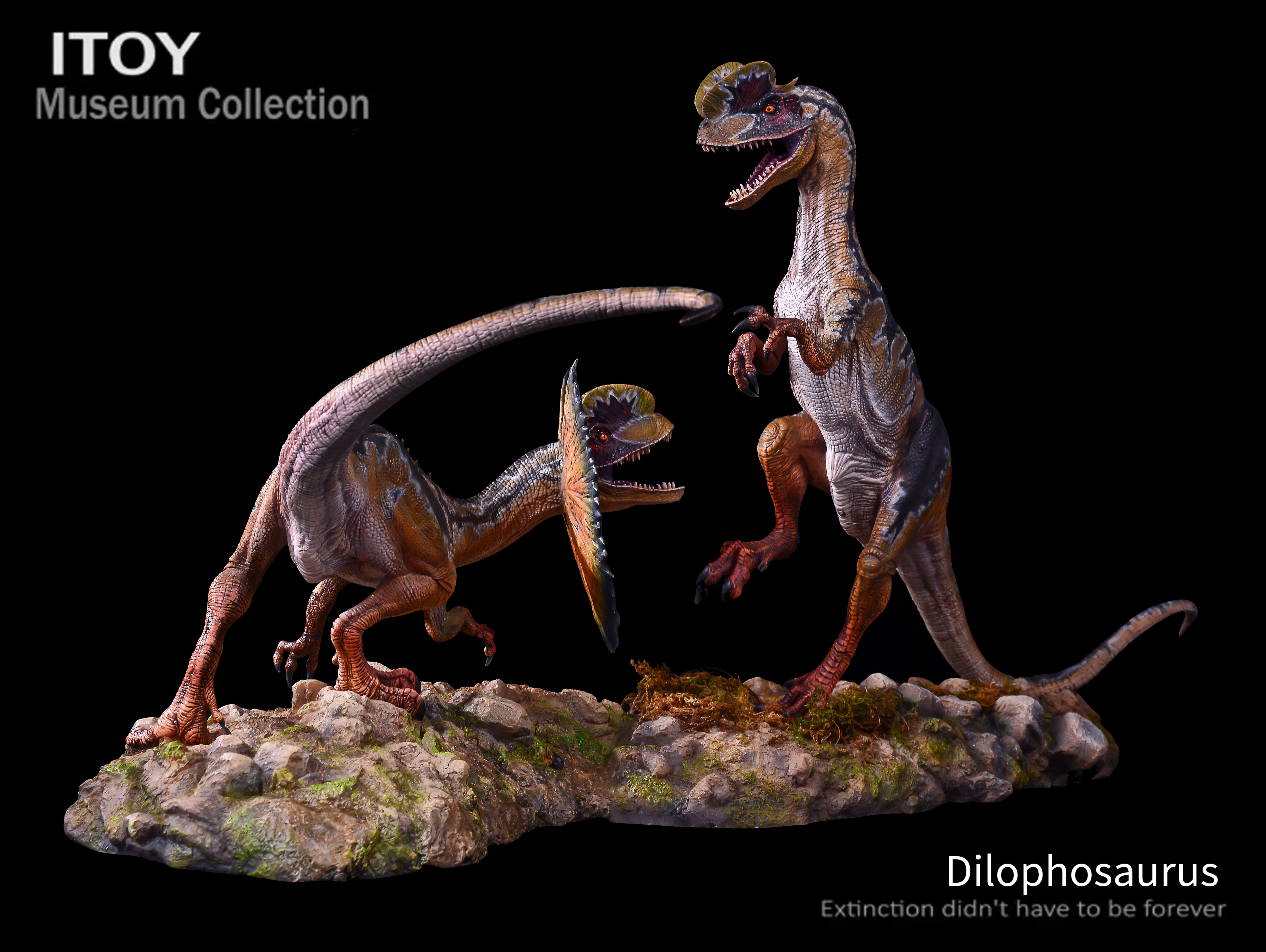 ITOY Museum Collection 1/15 Scale Dilophosaurus Fighting Model