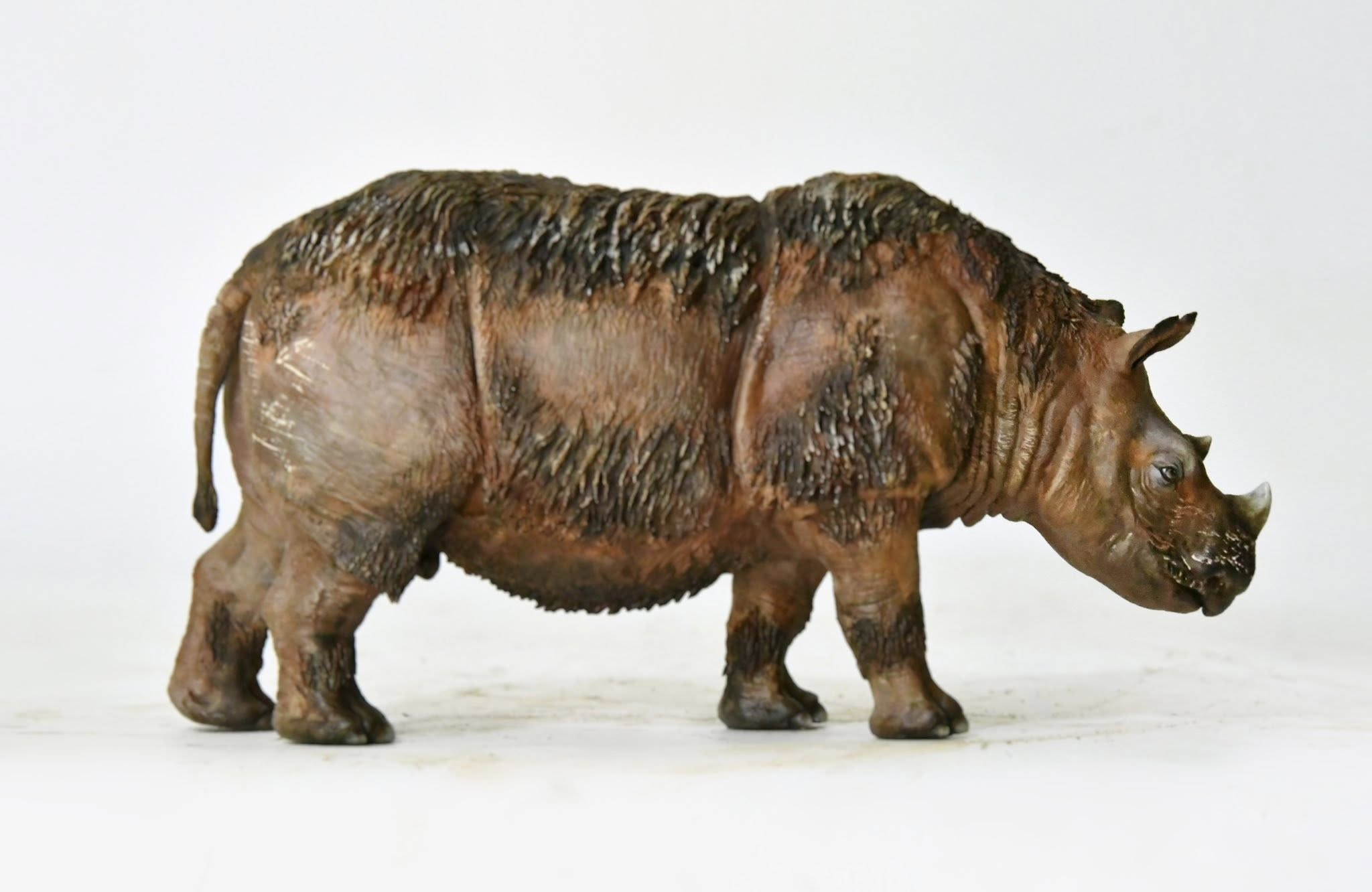 KWAN Studio Sumatran rhinoceros Model