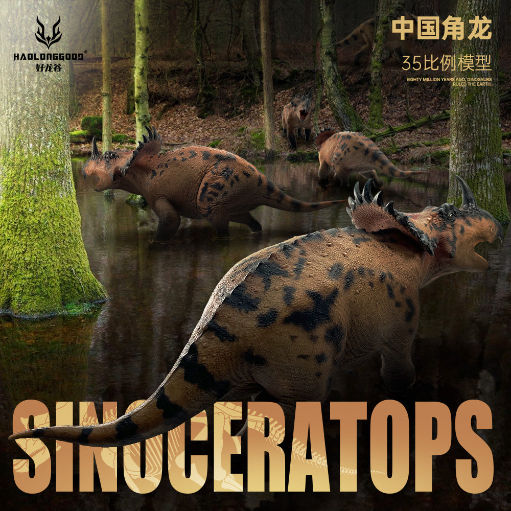 HAOLONGGOOD 1:35 Scale Sinoceratops Model