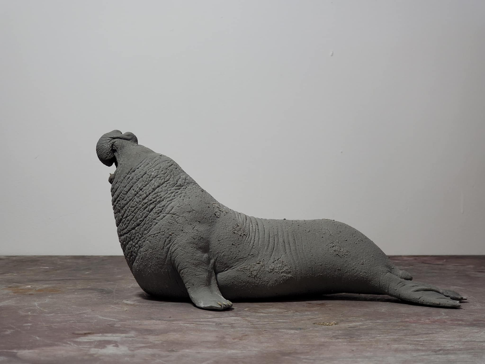 TUNAN Studio 1/15~18 Scale Southern elephant-seal Model