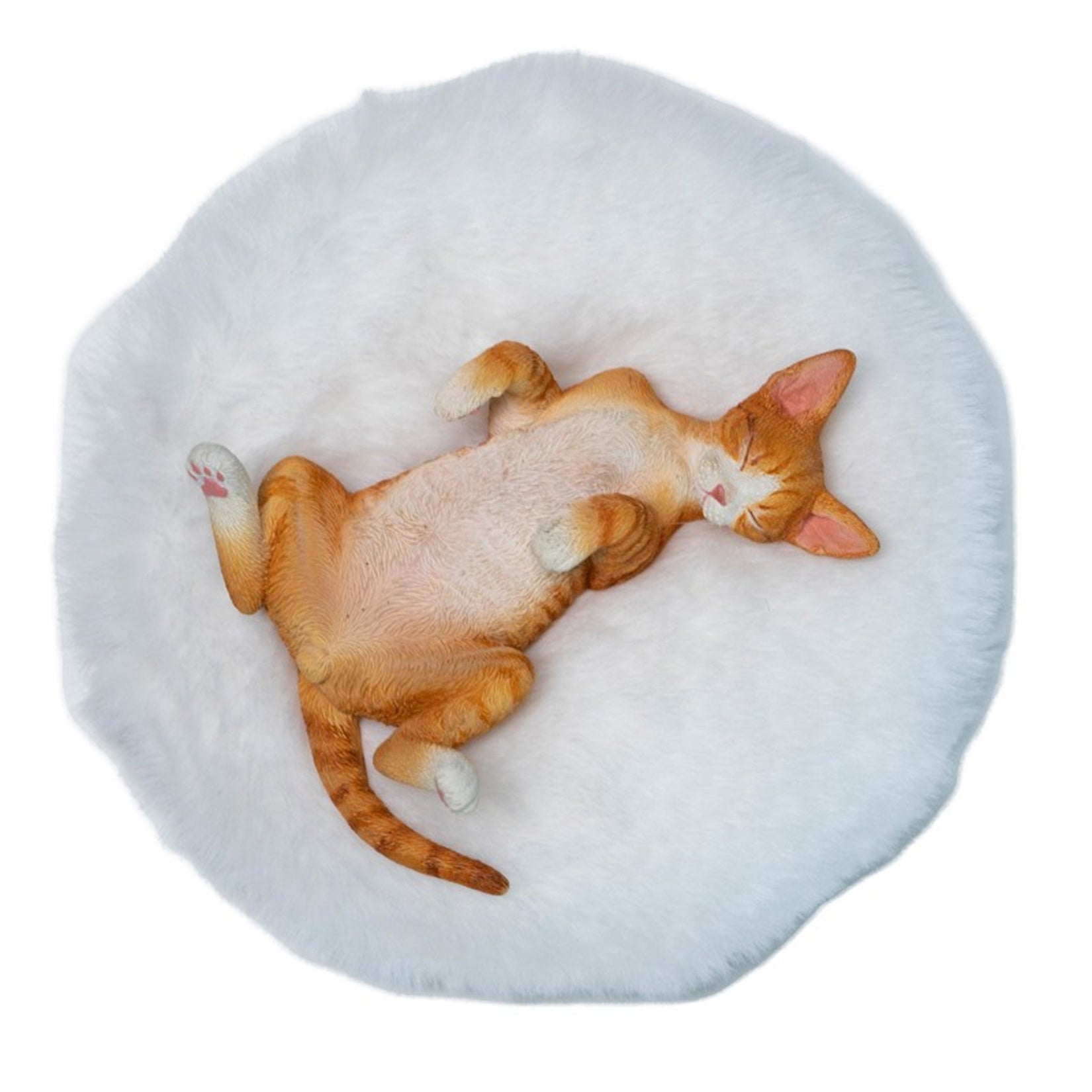 JXK Studio Resting Little Devon Rex Model