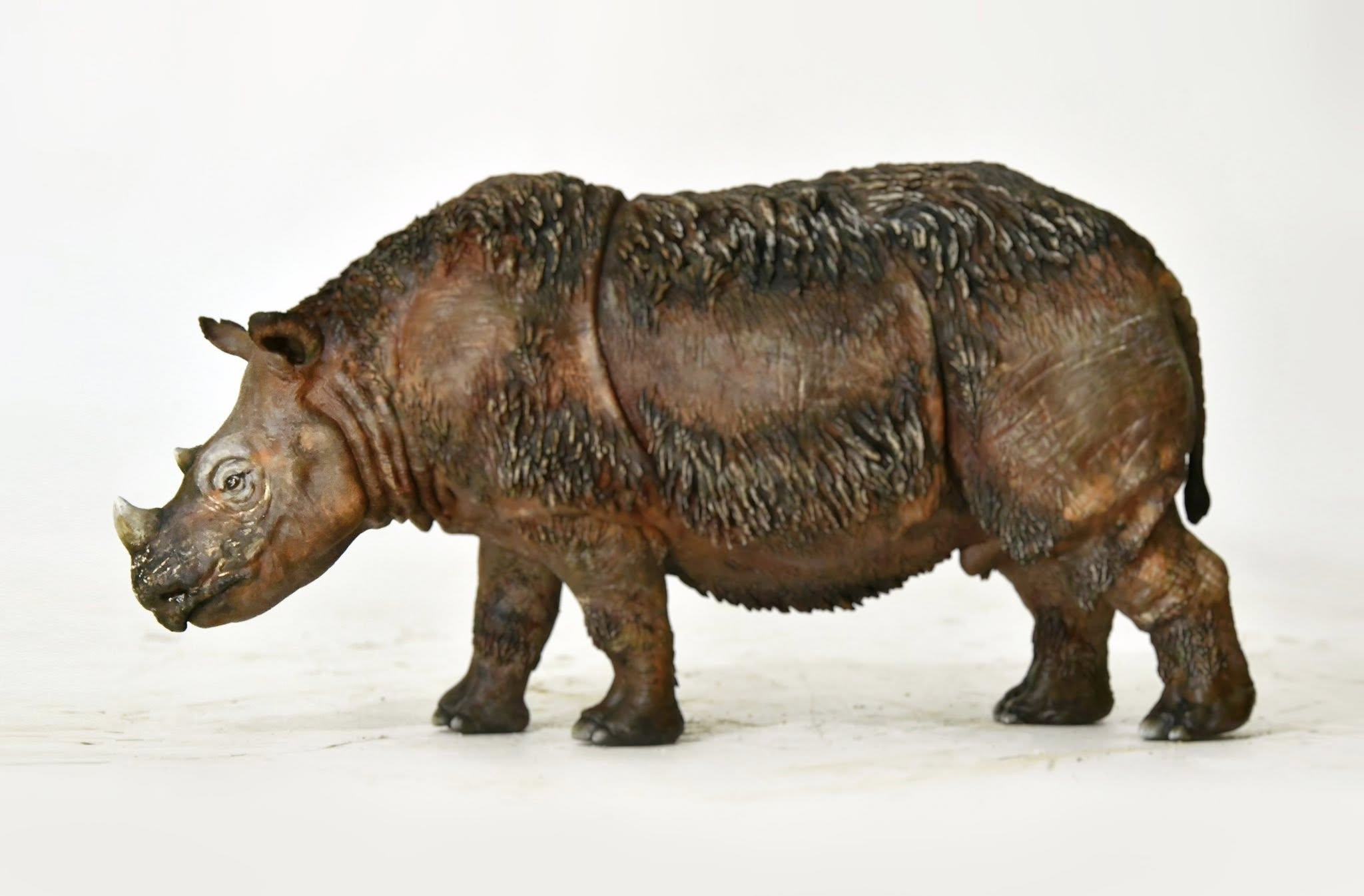 KWAN Studio Sumatran rhinoceros Model