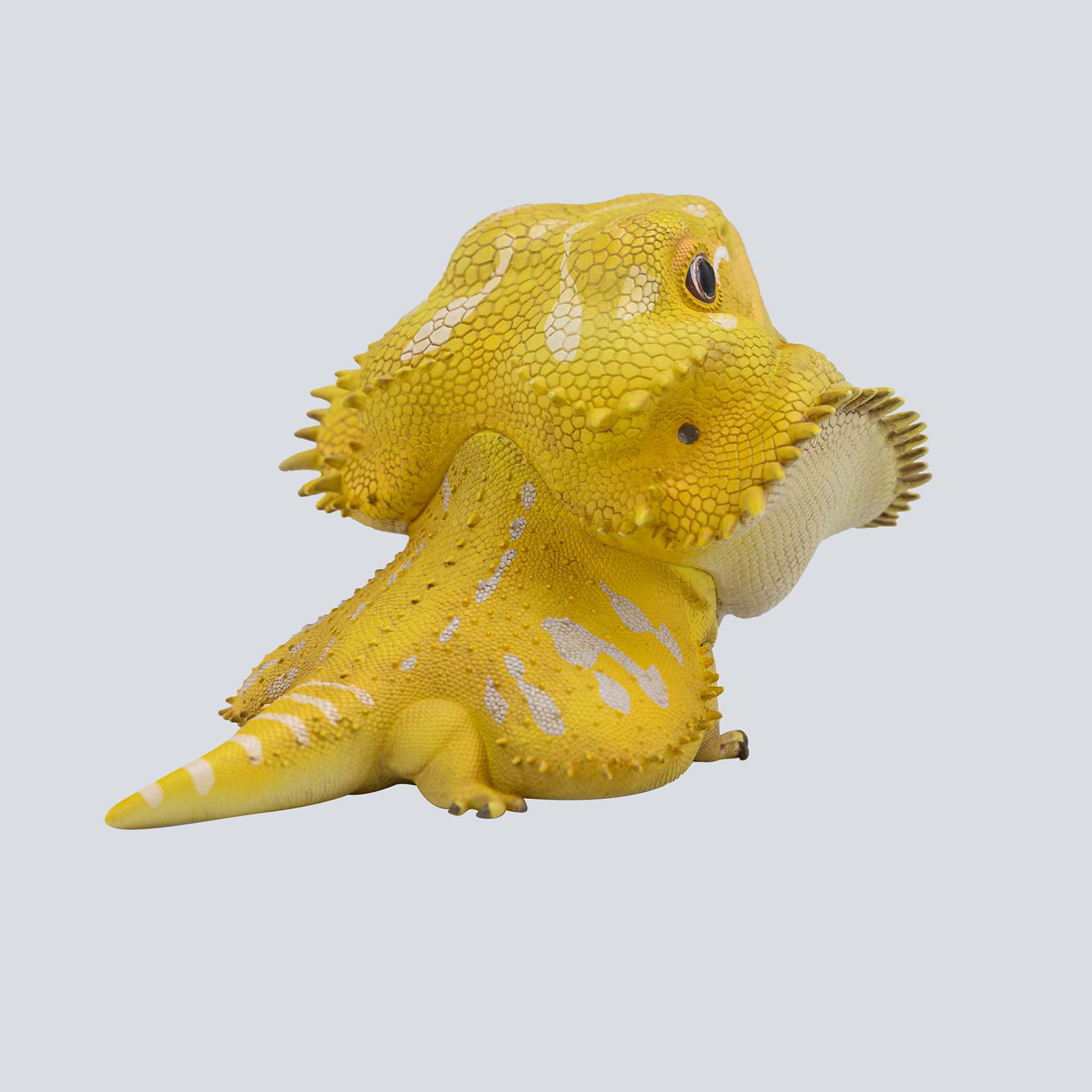Animal Planet 16 Lizard Blind Box Model