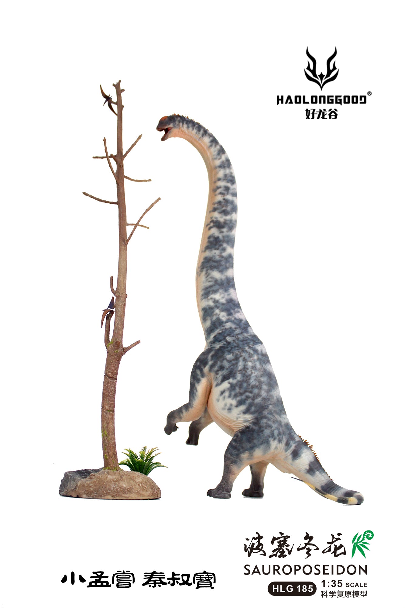 HAOLONGGOOD 1:35 Scale Sauroposeidon Model