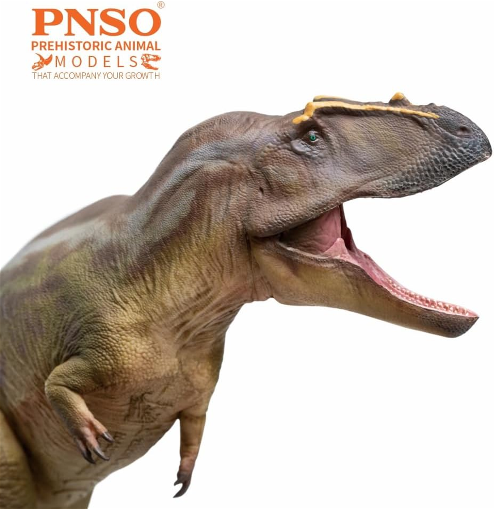 PNSO 95 Tameryraptor Mayer Model