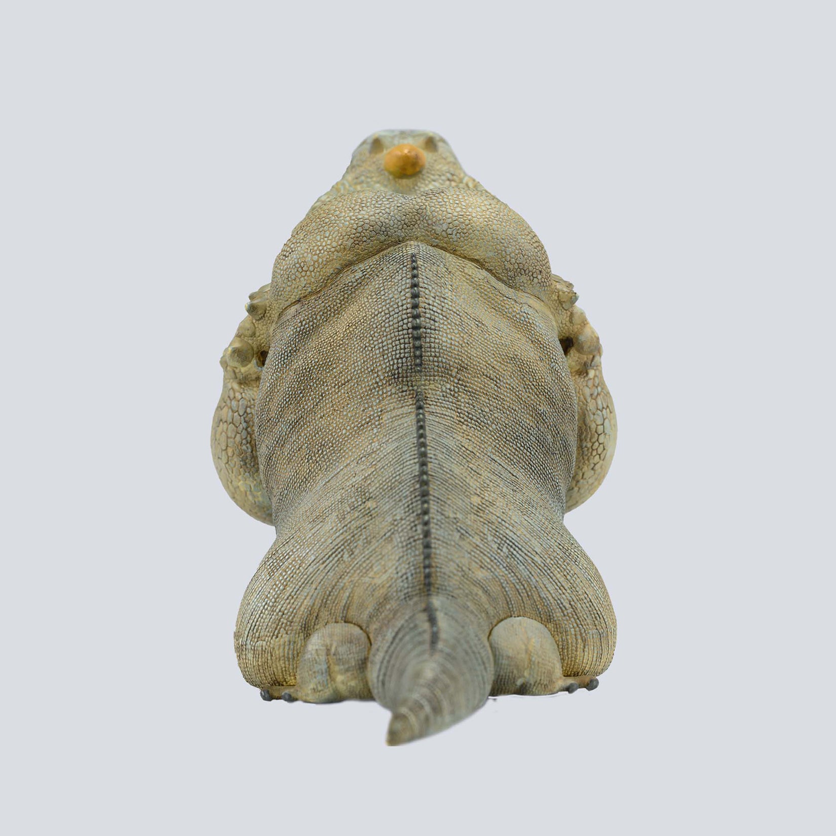 Animal Planet 16 Lizard Blind Box Model
