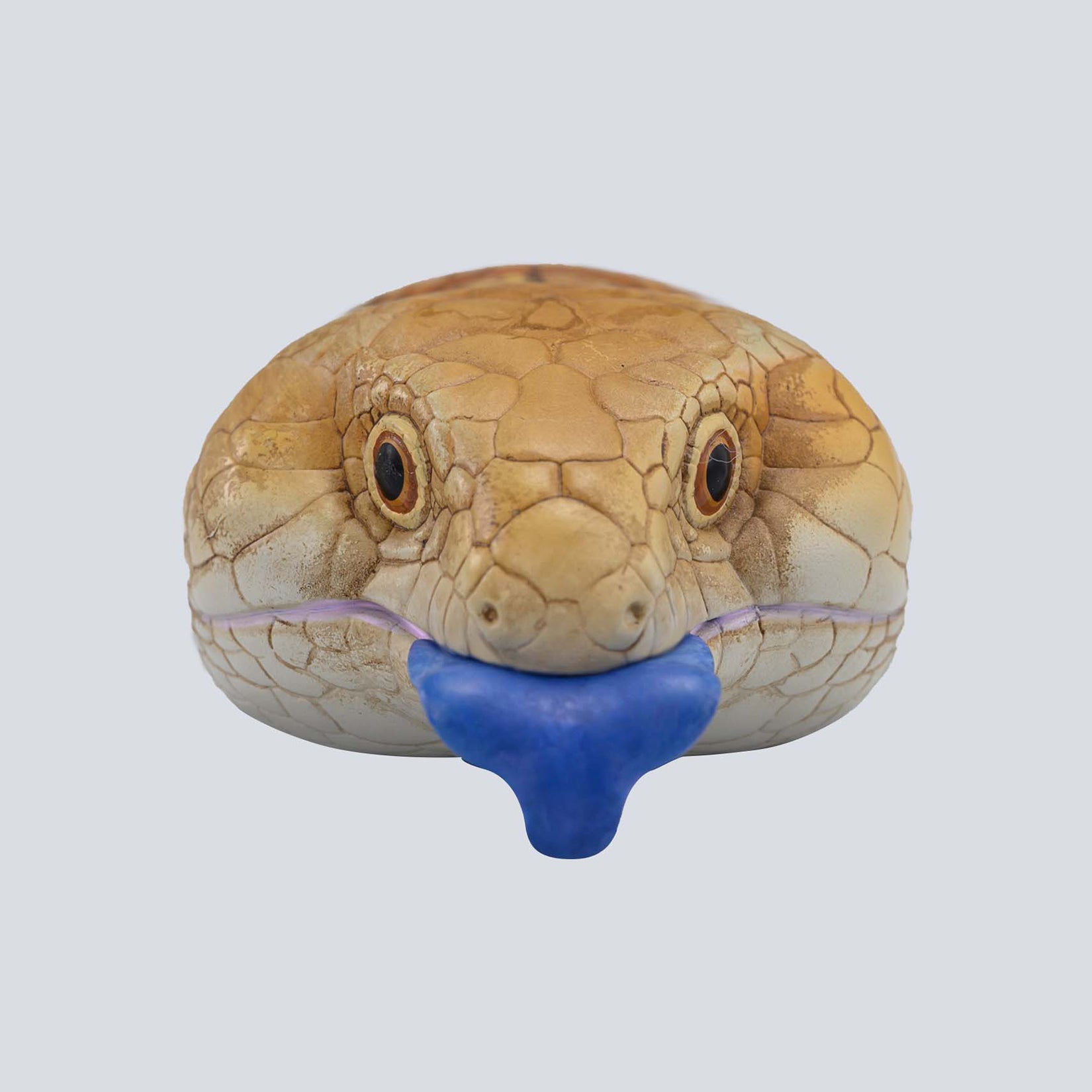 Animal Planet 16 Lizard Blind Box Model