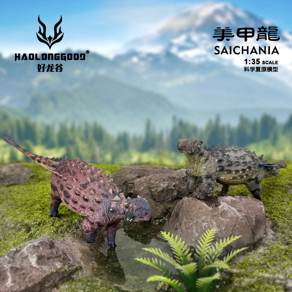 HAOLONGGOOD 1:35 Scale Saichania Model